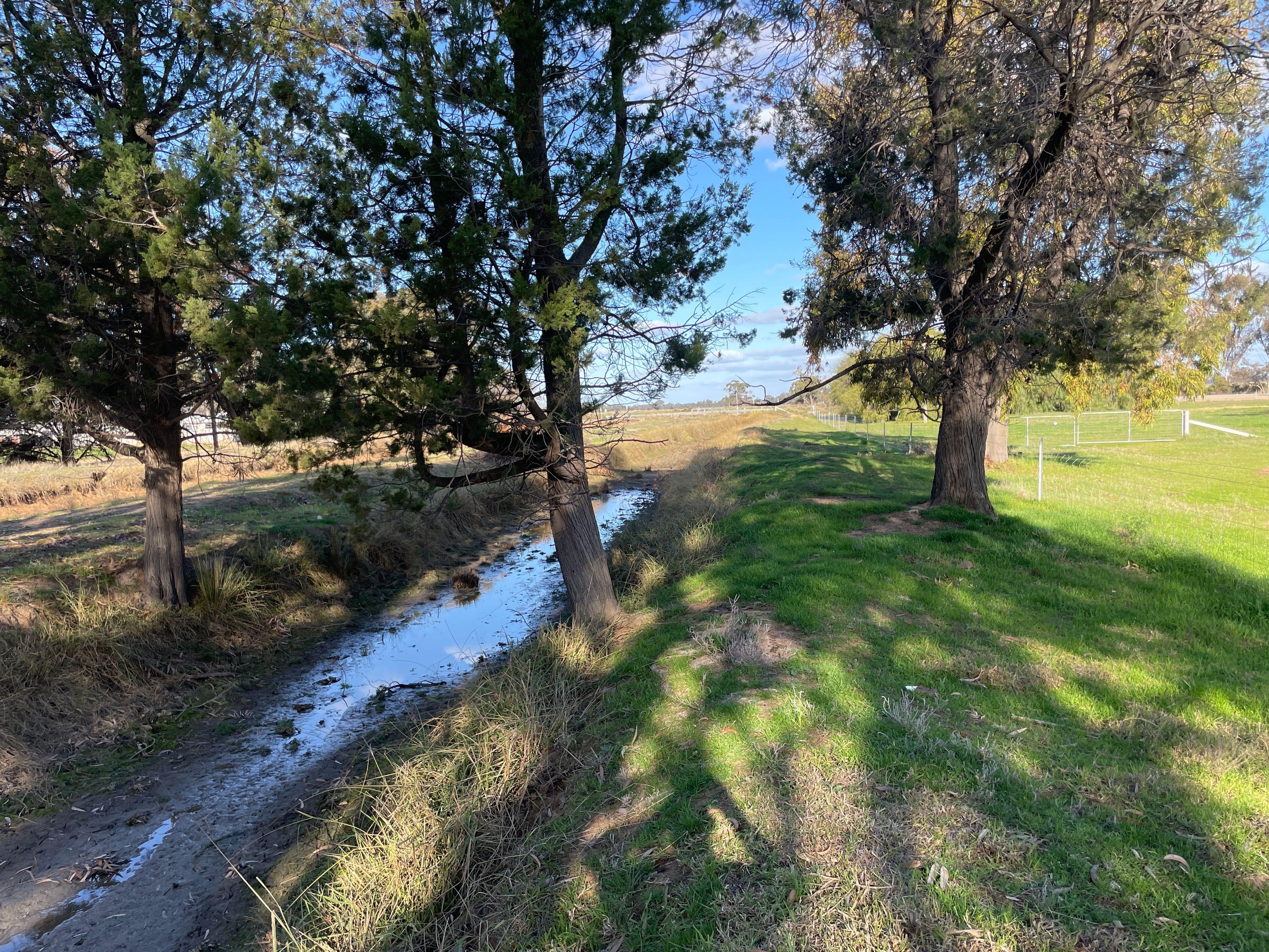 Mixed Farming for Sale: Wakool, NSW 2710, NSW, 2710