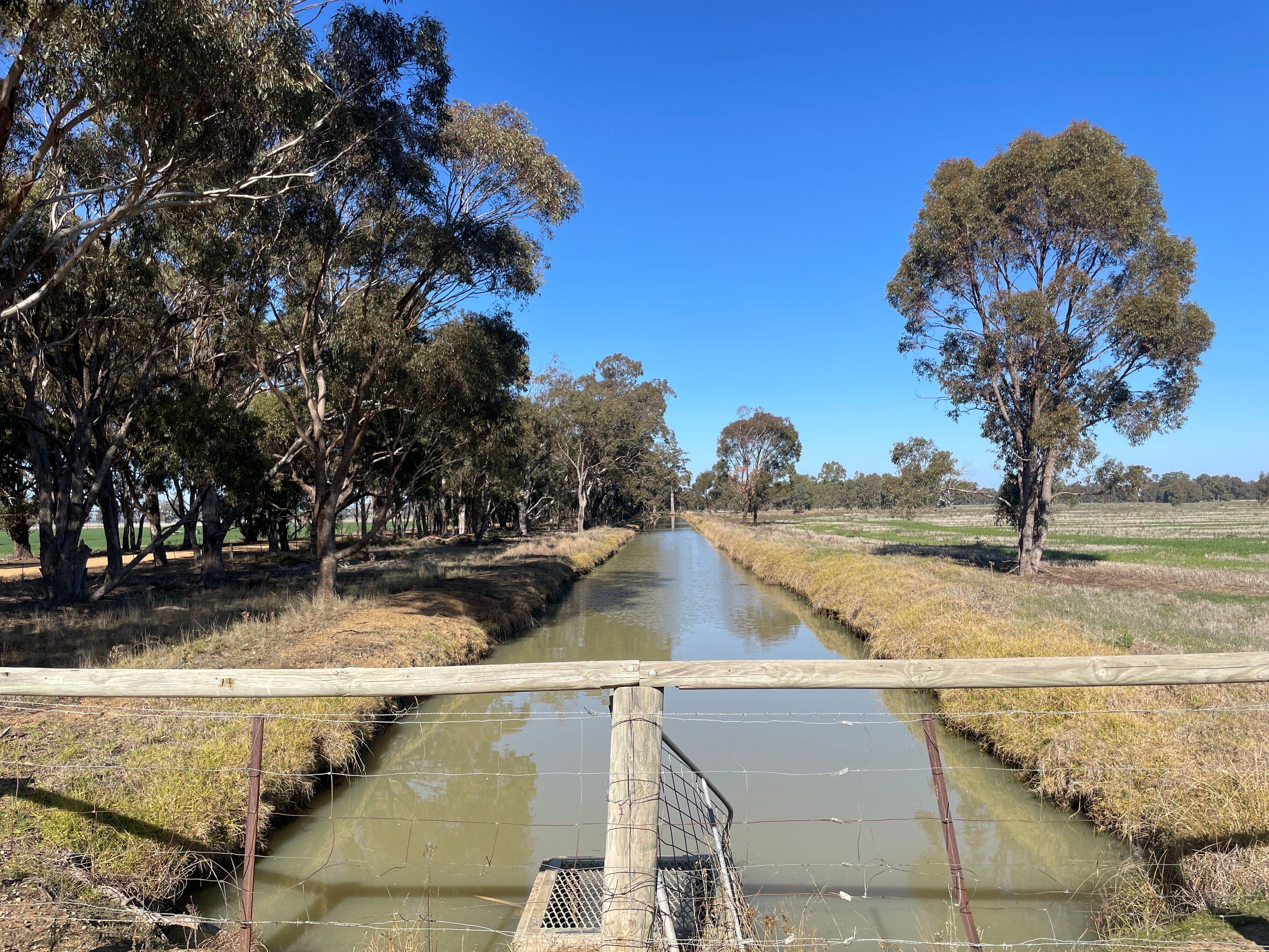 Mixed Farming for Sale: Wakool, NSW 2710, NSW, 2710