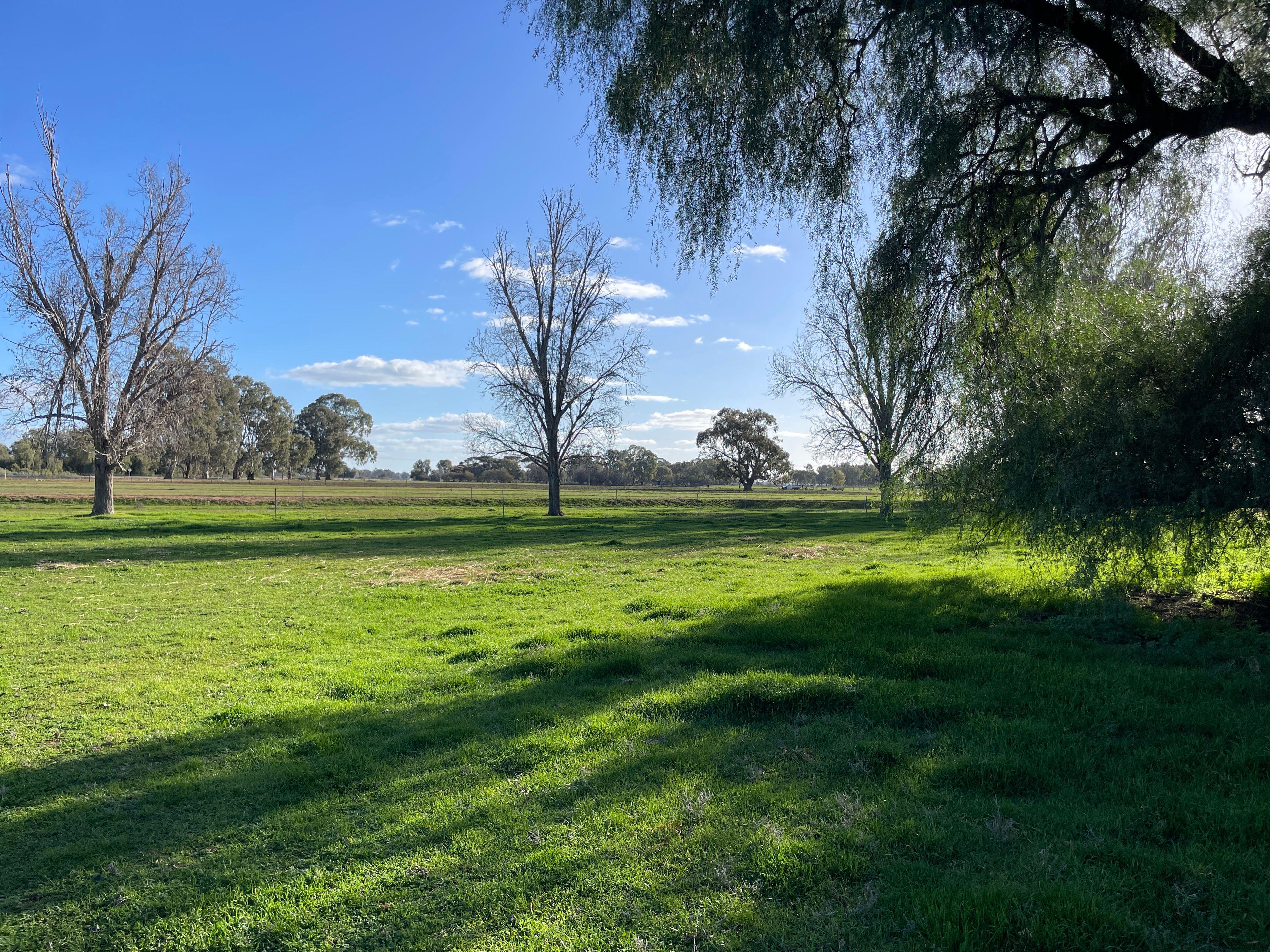 Mixed Farming for Sale: Wakool, NSW 2710, NSW, 2710