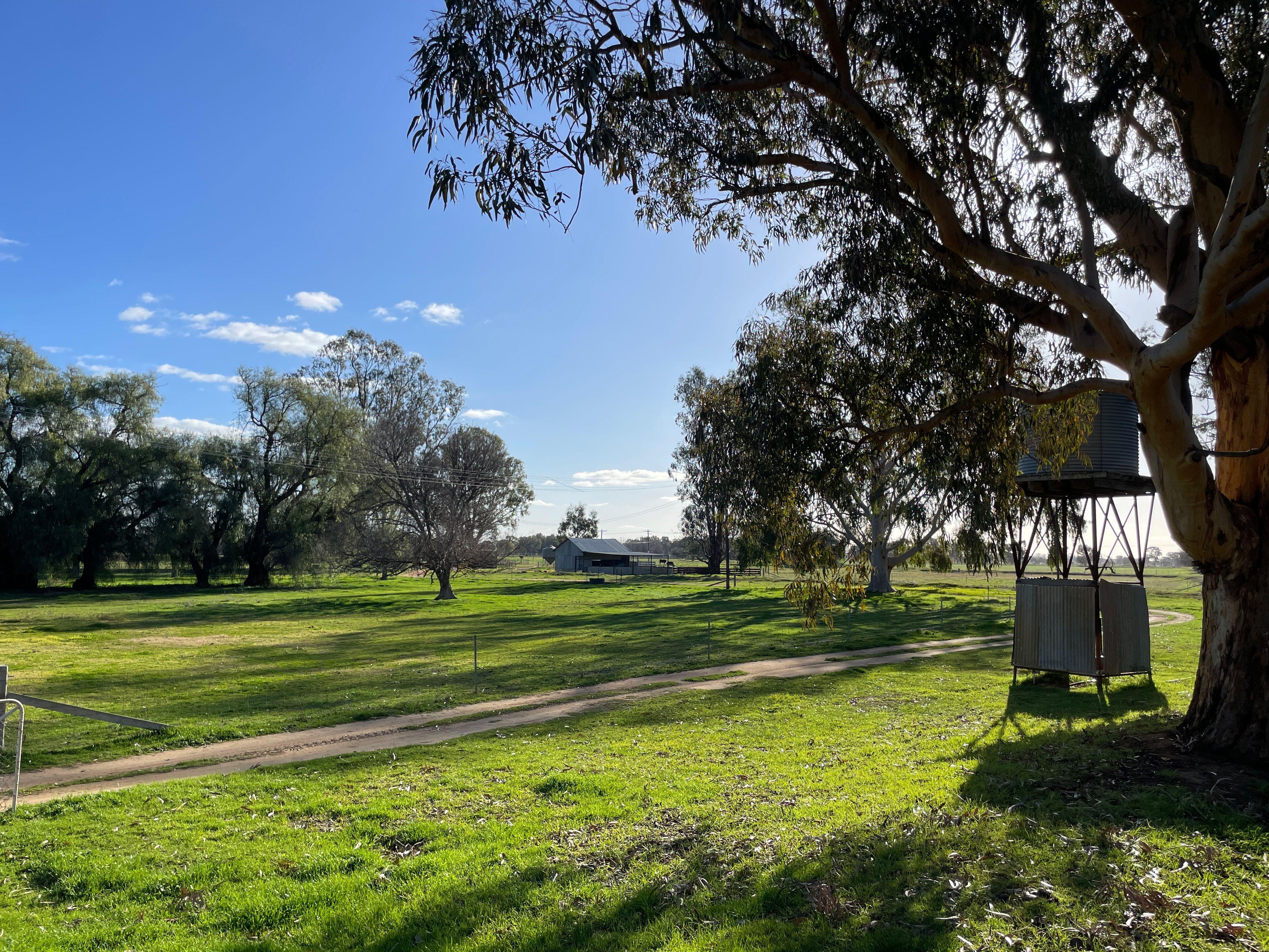 Mixed Farming for Sale: Wakool, NSW 2710, NSW, 2710