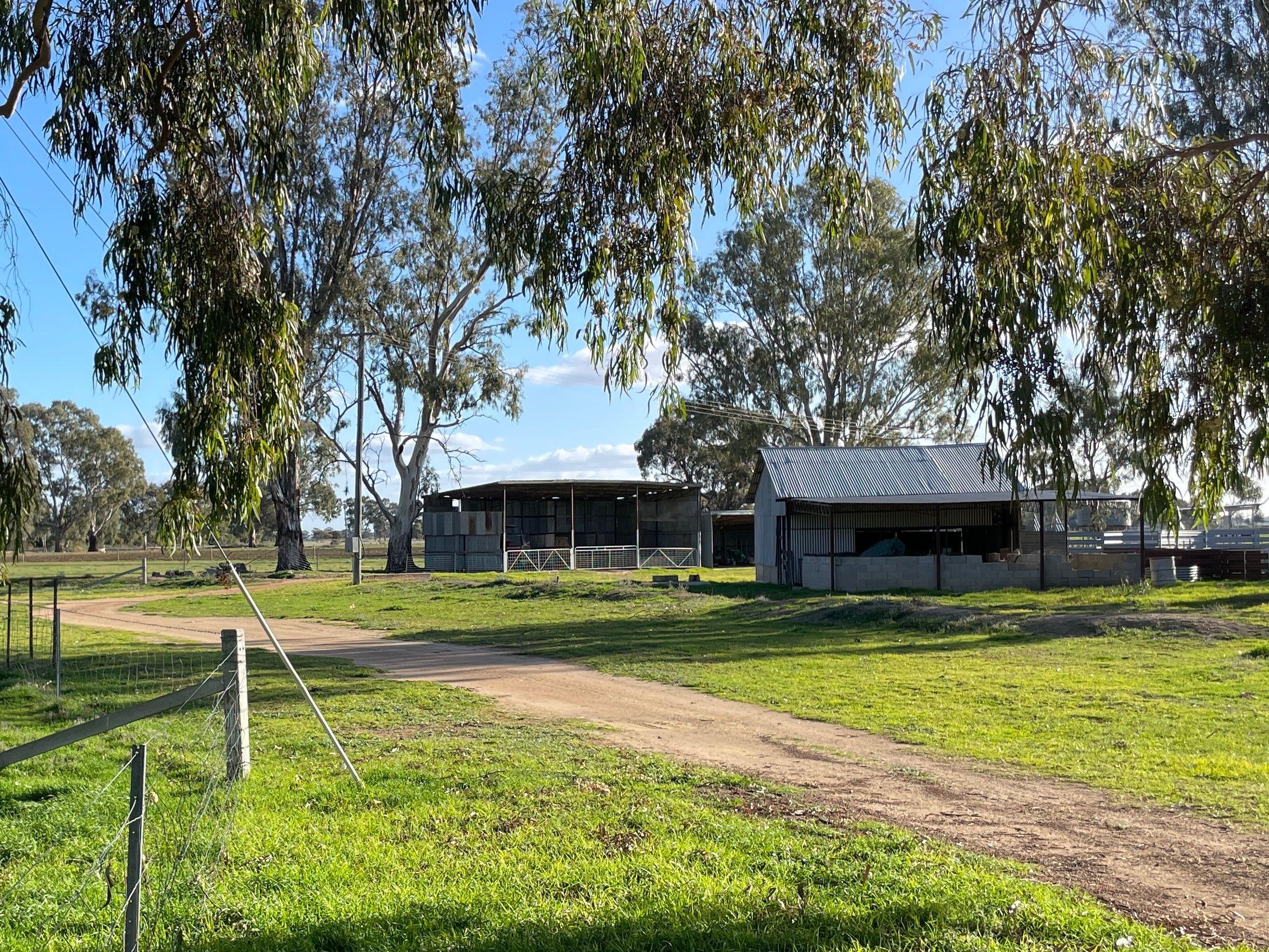 Mixed Farming for Sale: Wakool, NSW 2710, NSW, 2710