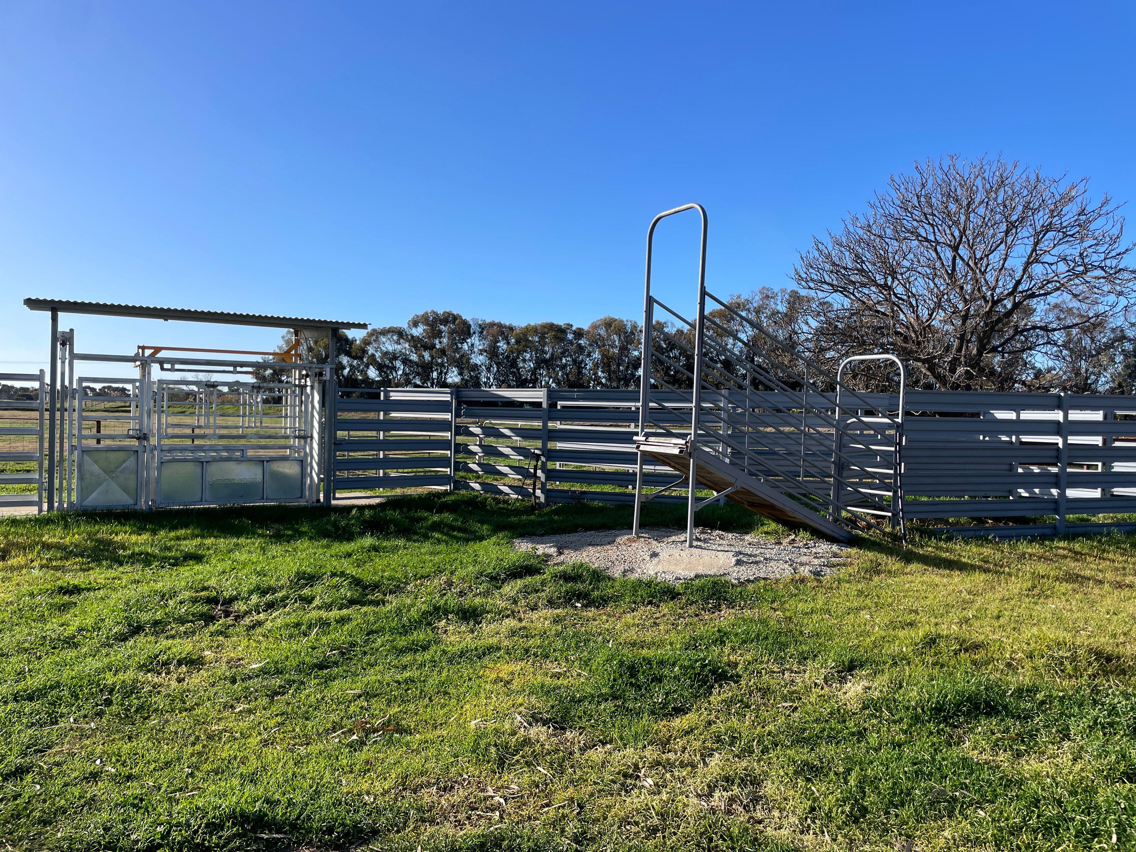 Mixed Farming for Sale: Wakool, NSW 2710, NSW, 2710