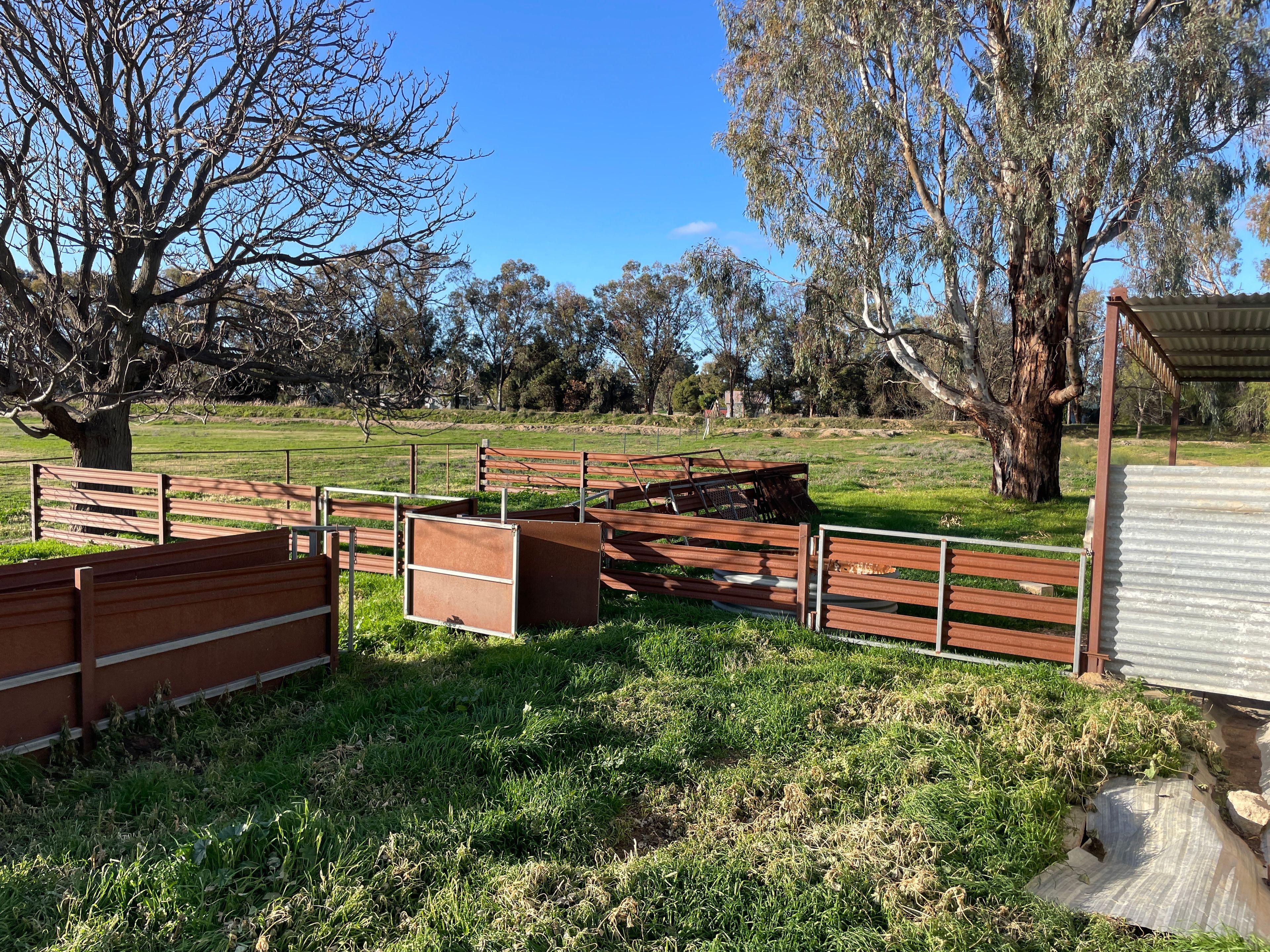 Mixed Farming for Sale: Wakool, NSW 2710, NSW, 2710