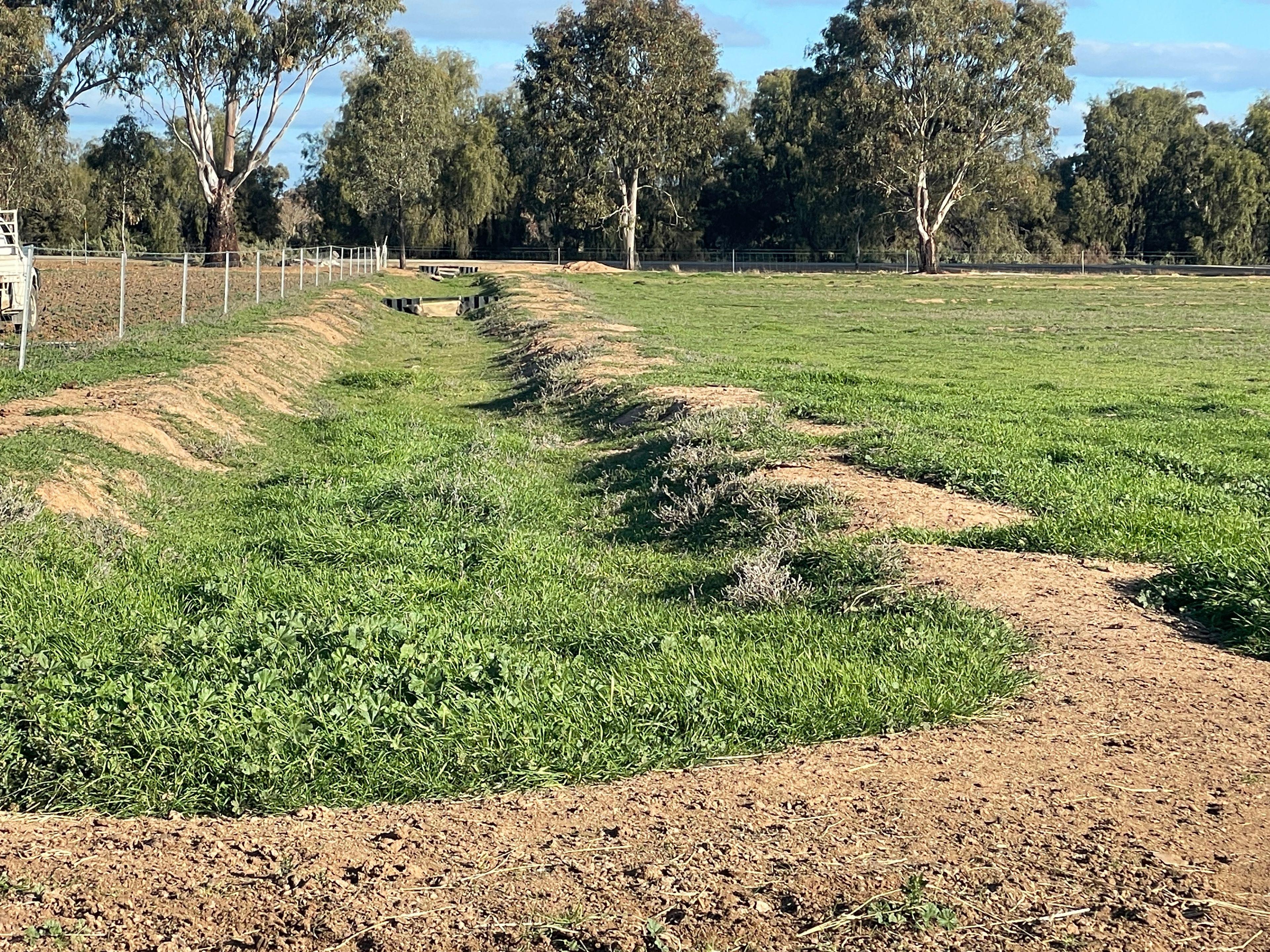 Mixed Farming for Sale: Wakool, NSW 2710, NSW, 2710