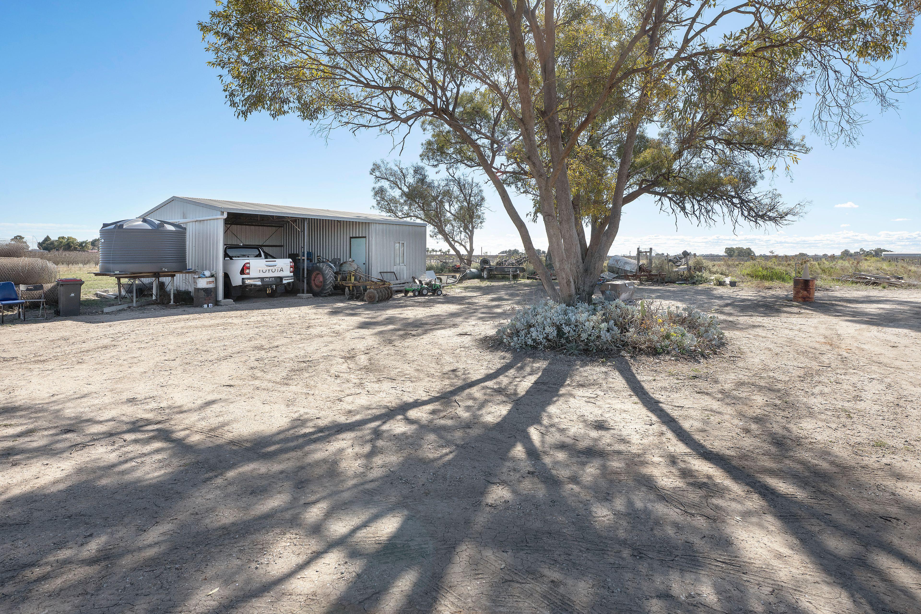 Farmlet for Sale: Woorinen, VIC 3589, VIC, 3589