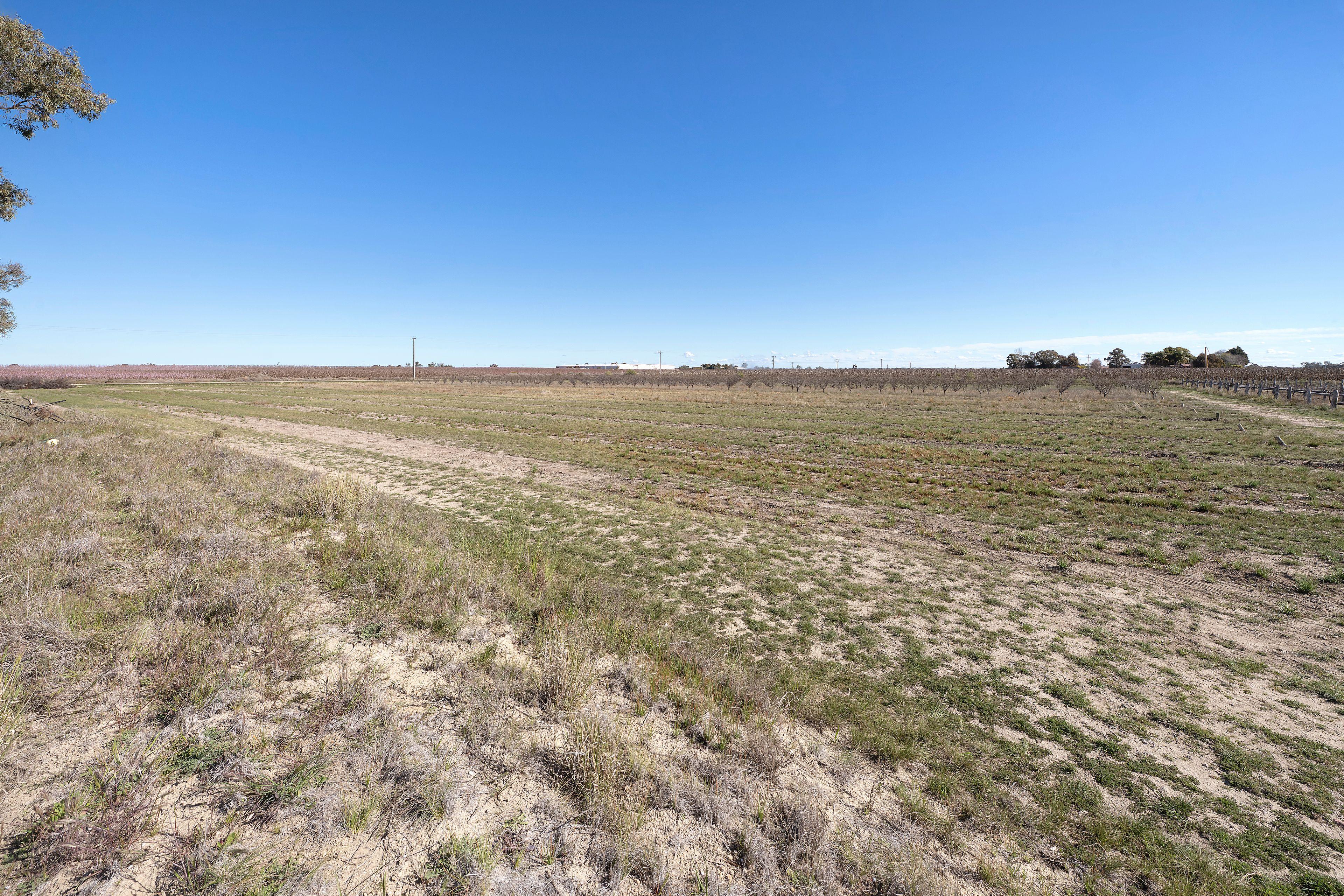 Farmlet for Sale: Woorinen, VIC 3589, VIC, 3589