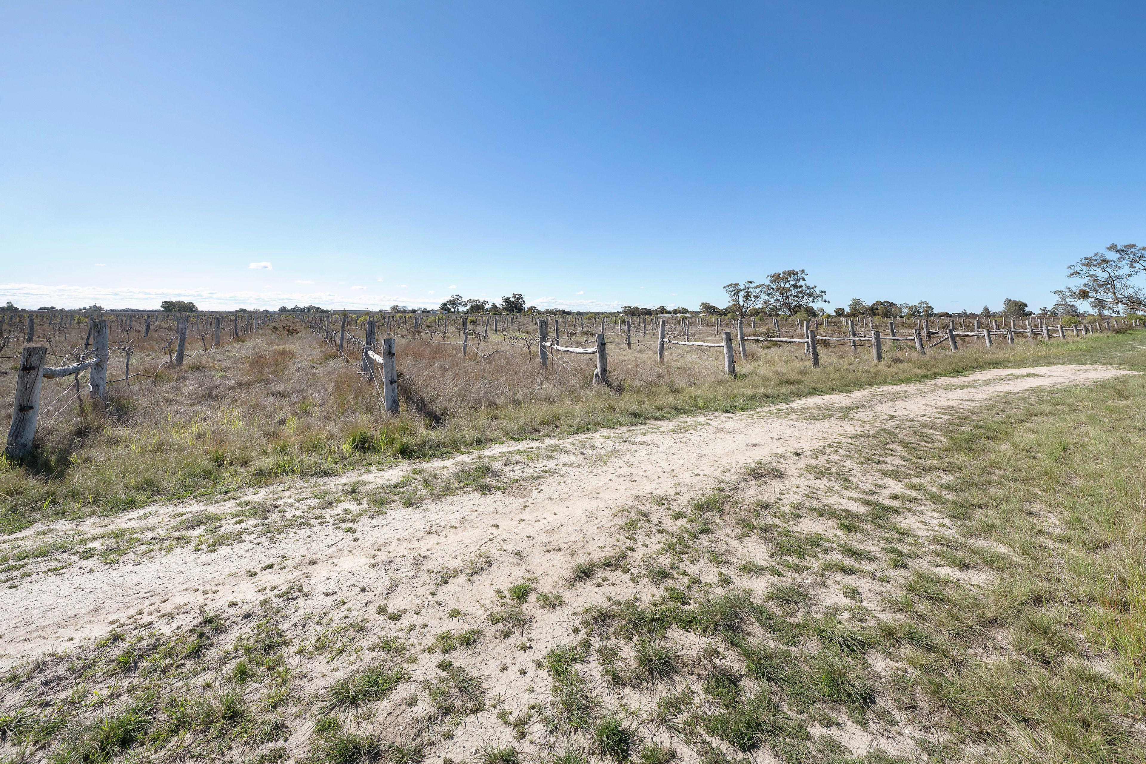 Farmlet for Sale: Woorinen, VIC 3589, VIC, 3589