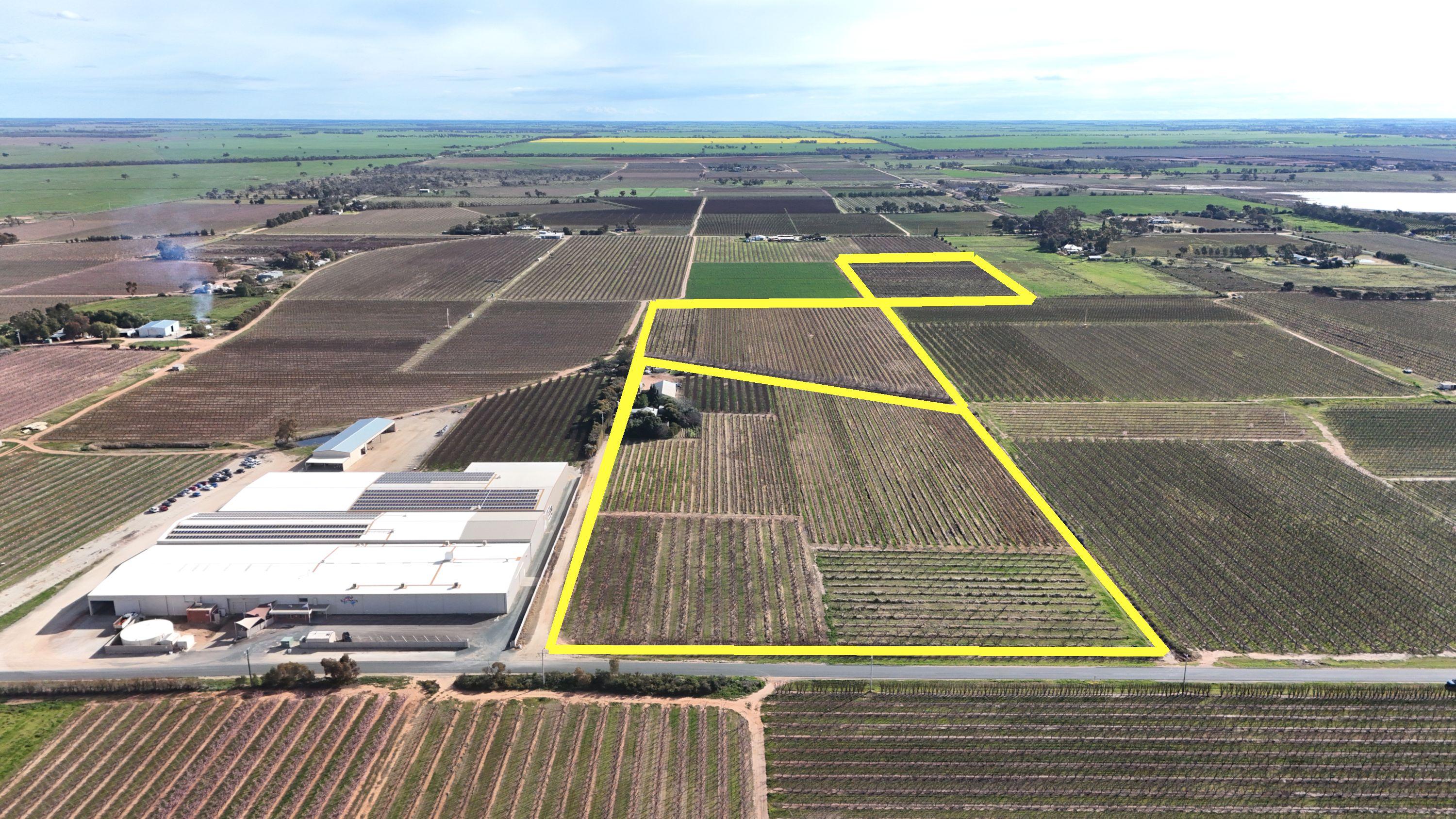 Prop-GPT: Mixed Farming: VIC Woorinen North, VIC 3589 Rural