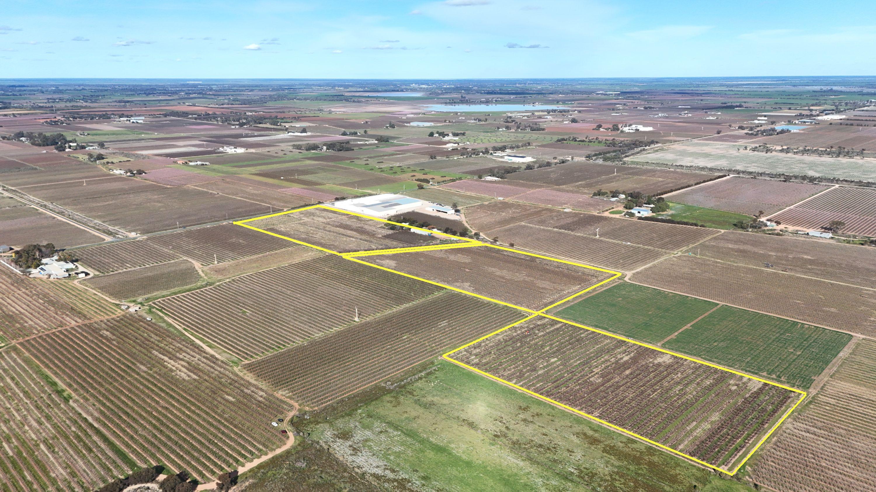 Mixed Farming for Sale: Woorinen North, VIC 3589, VIC, 3589