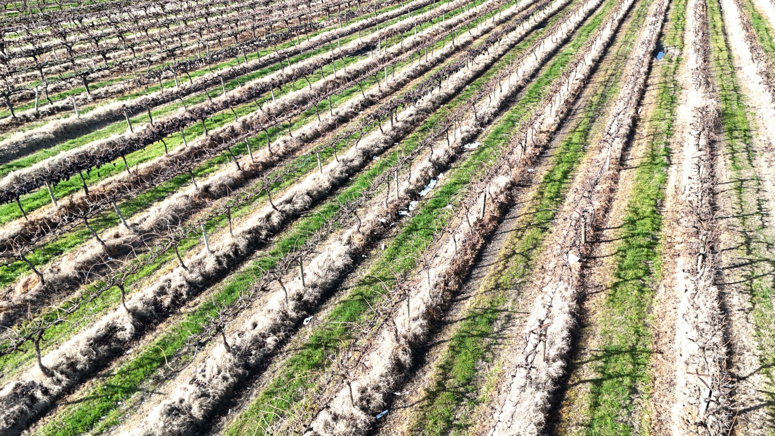 Mixed Farming for Sale: Woorinen North, VIC 3589, VIC, 3589