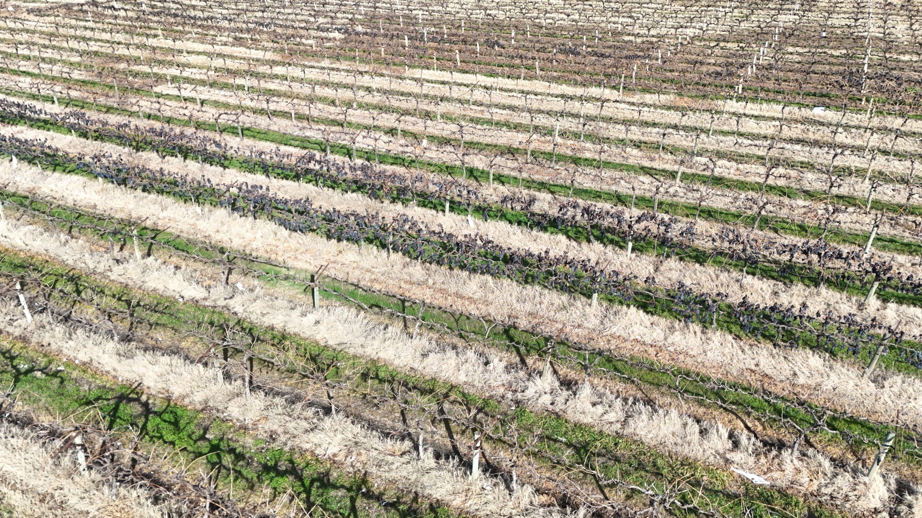 Mixed Farming for Sale: Woorinen North, VIC 3589, VIC, 3589