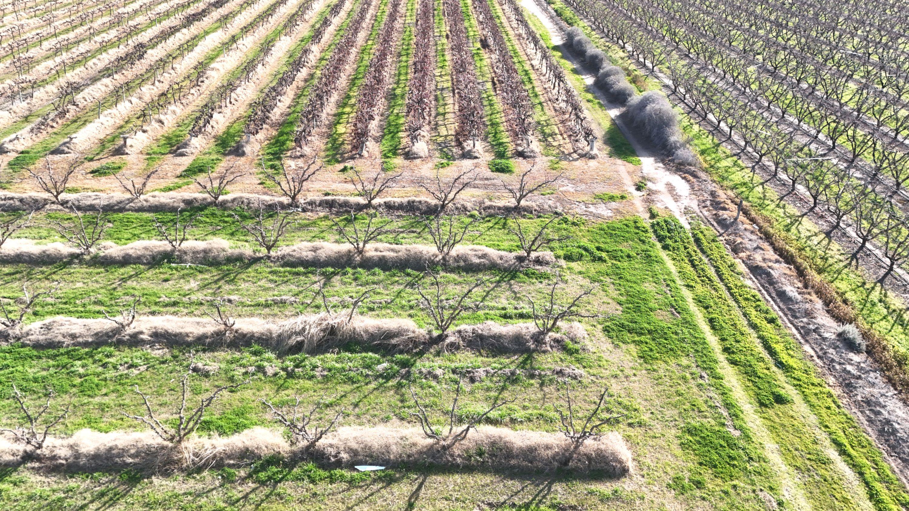 Mixed Farming for Sale: Woorinen North, VIC 3589, VIC, 3589