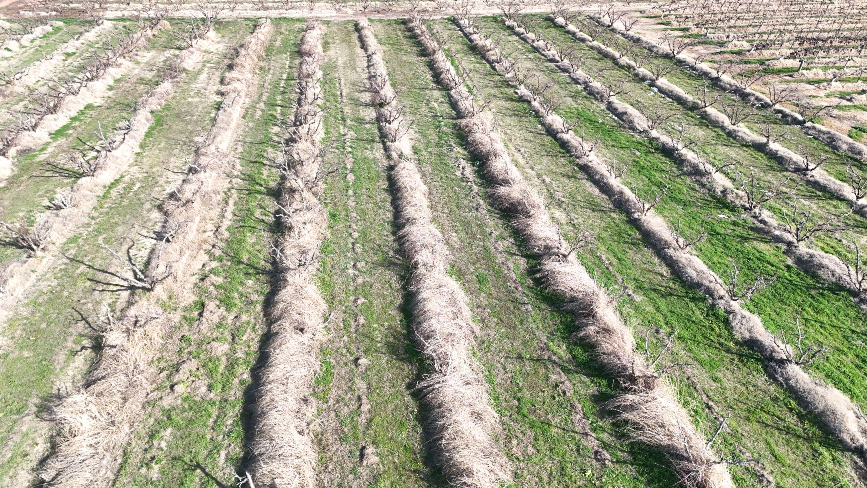 Mixed Farming for Sale: Woorinen North, VIC 3589, VIC, 3589