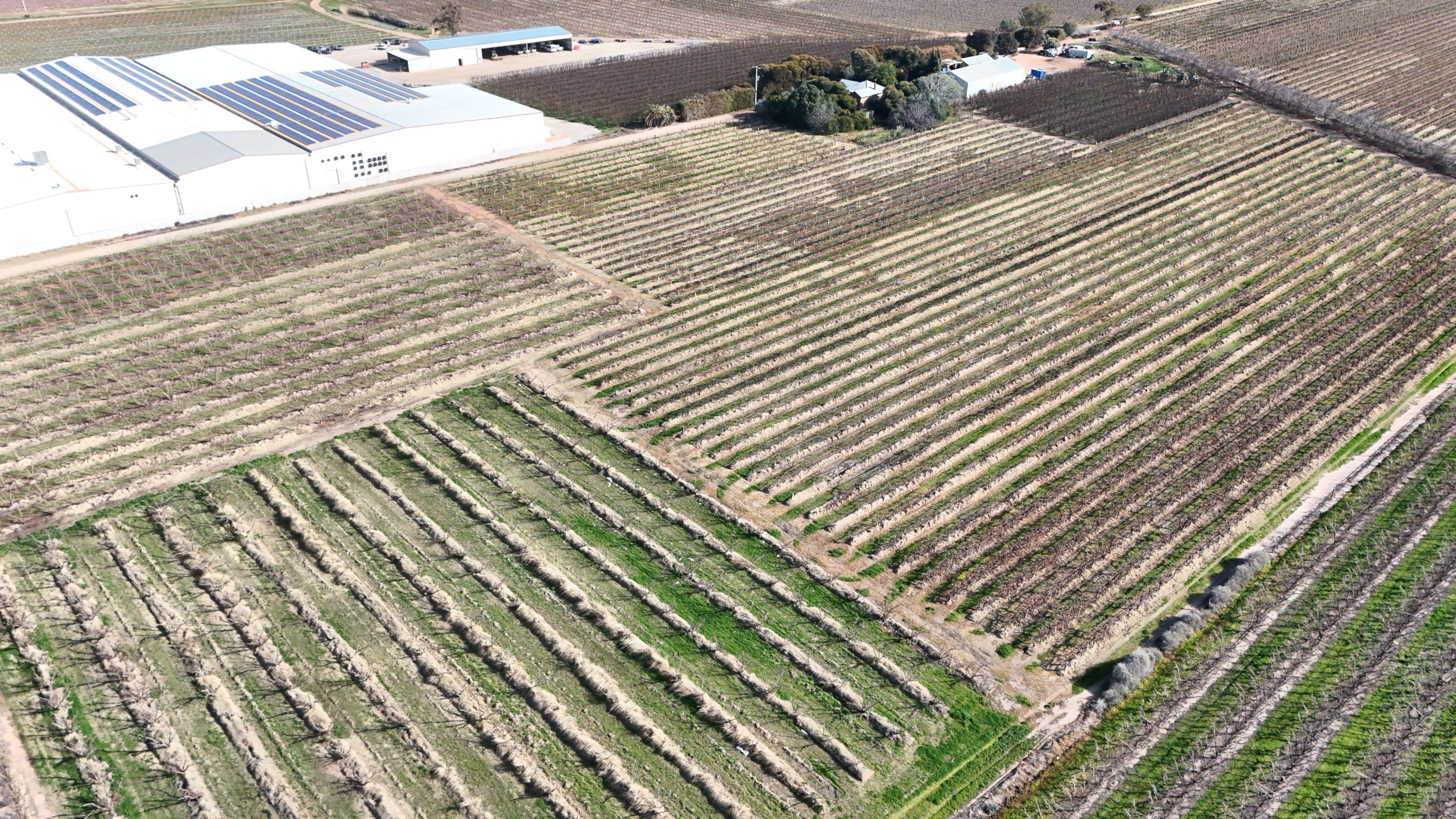 Mixed Farming for Sale: Woorinen North, VIC 3589, VIC, 3589