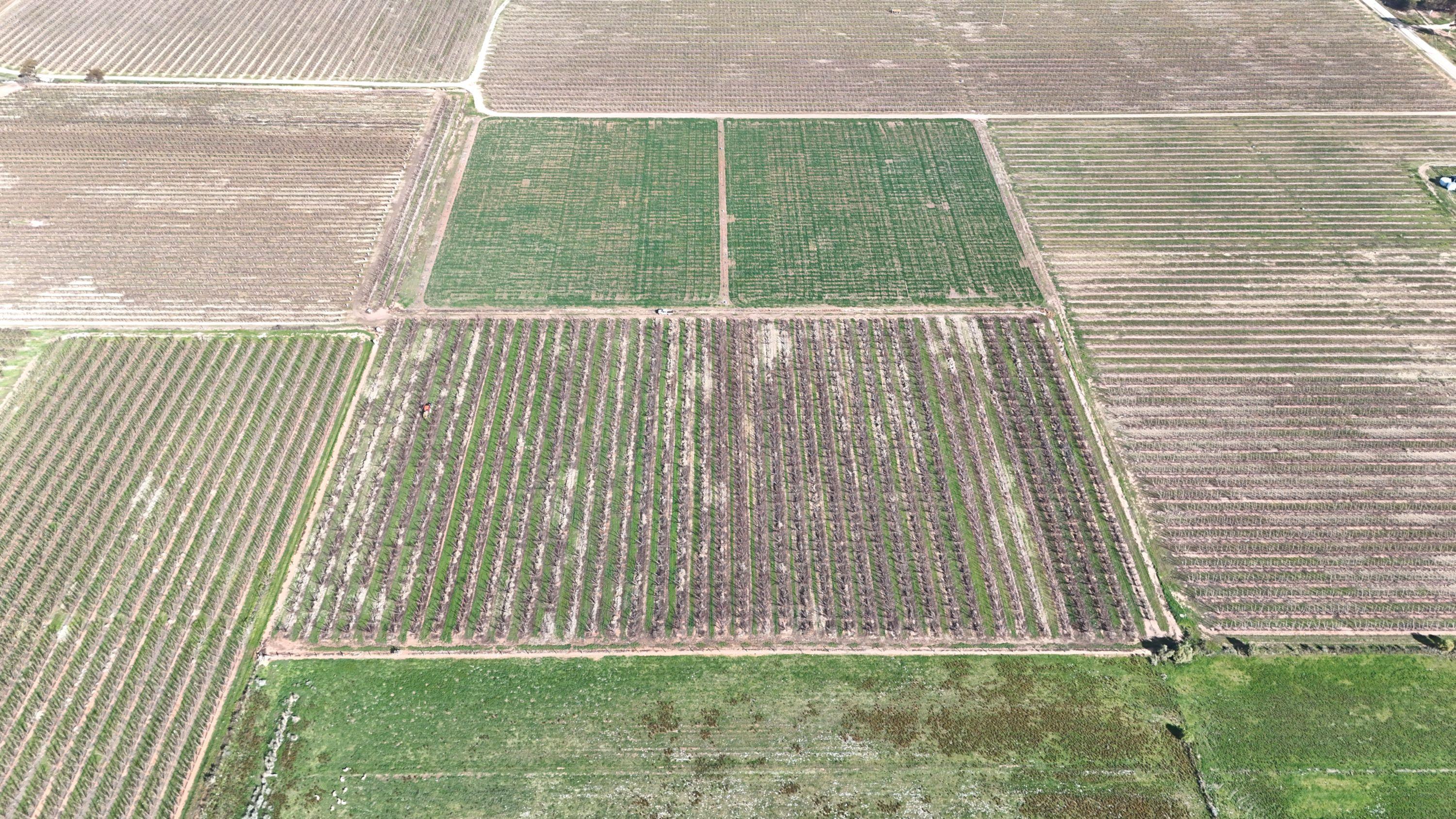 Mixed Farming for Sale: Woorinen North, VIC 3589, VIC, 3589