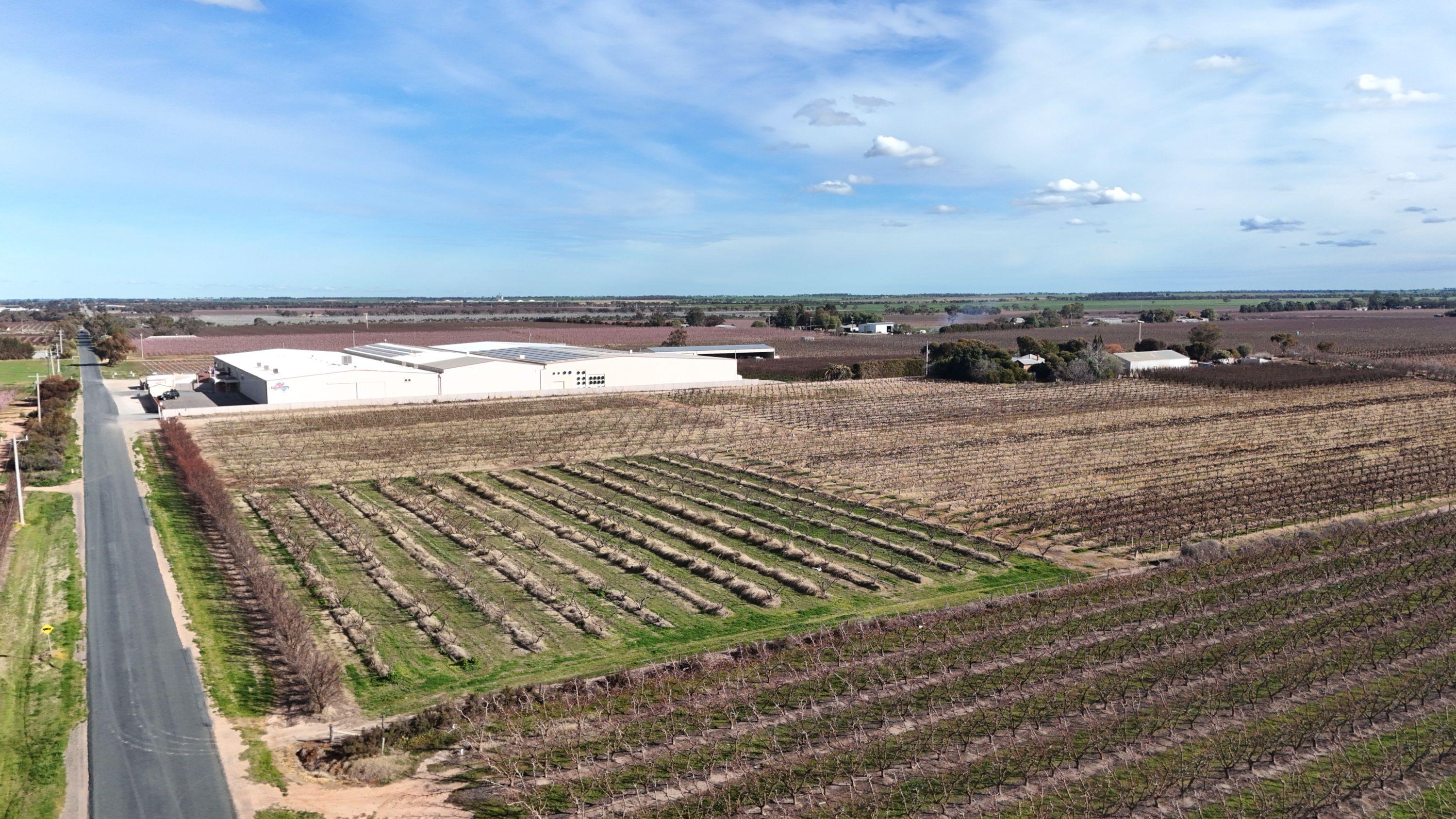 Mixed Farming for Sale: Woorinen North, VIC 3589, VIC, 3589