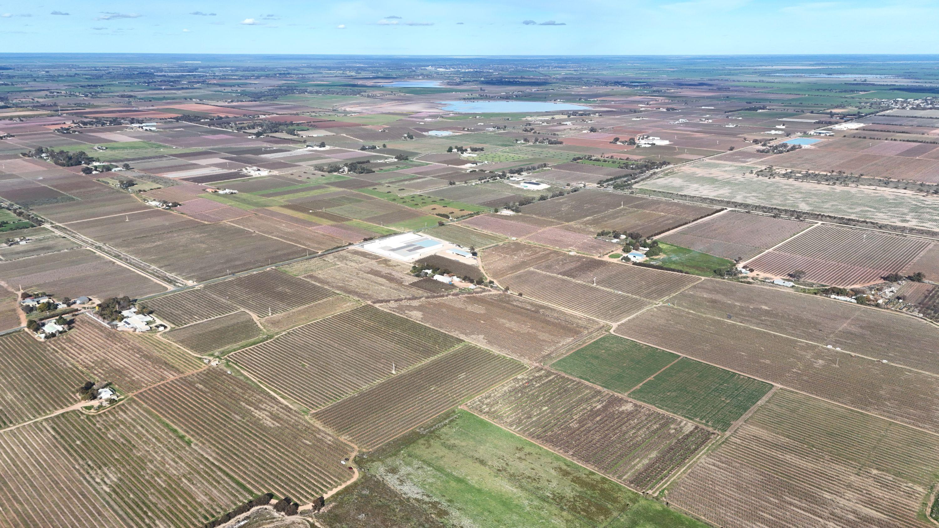 Mixed Farming for Sale: Woorinen North, VIC 3589, VIC, 3589