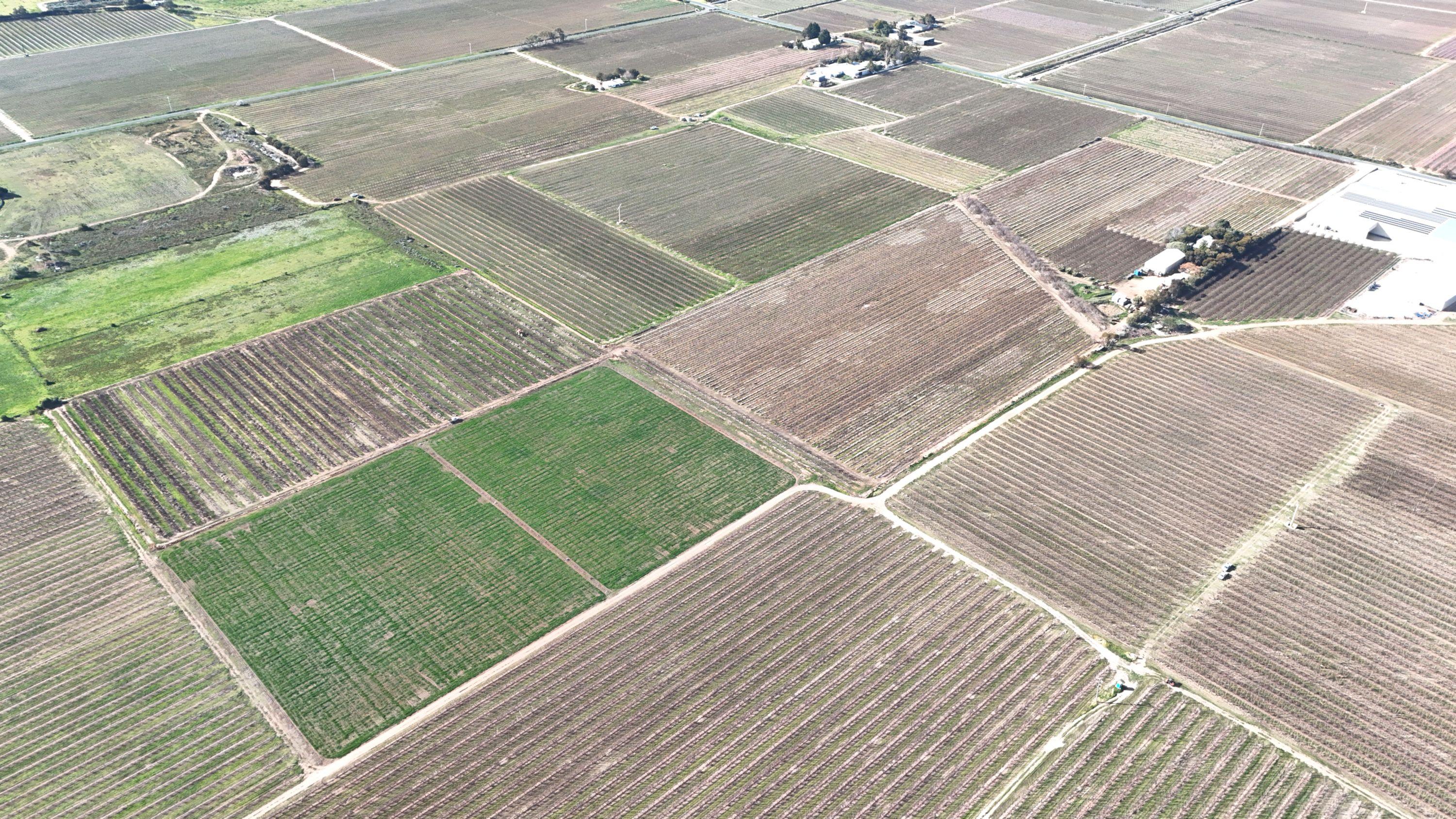 Mixed Farming for Sale: Woorinen North, VIC 3589, VIC, 3589