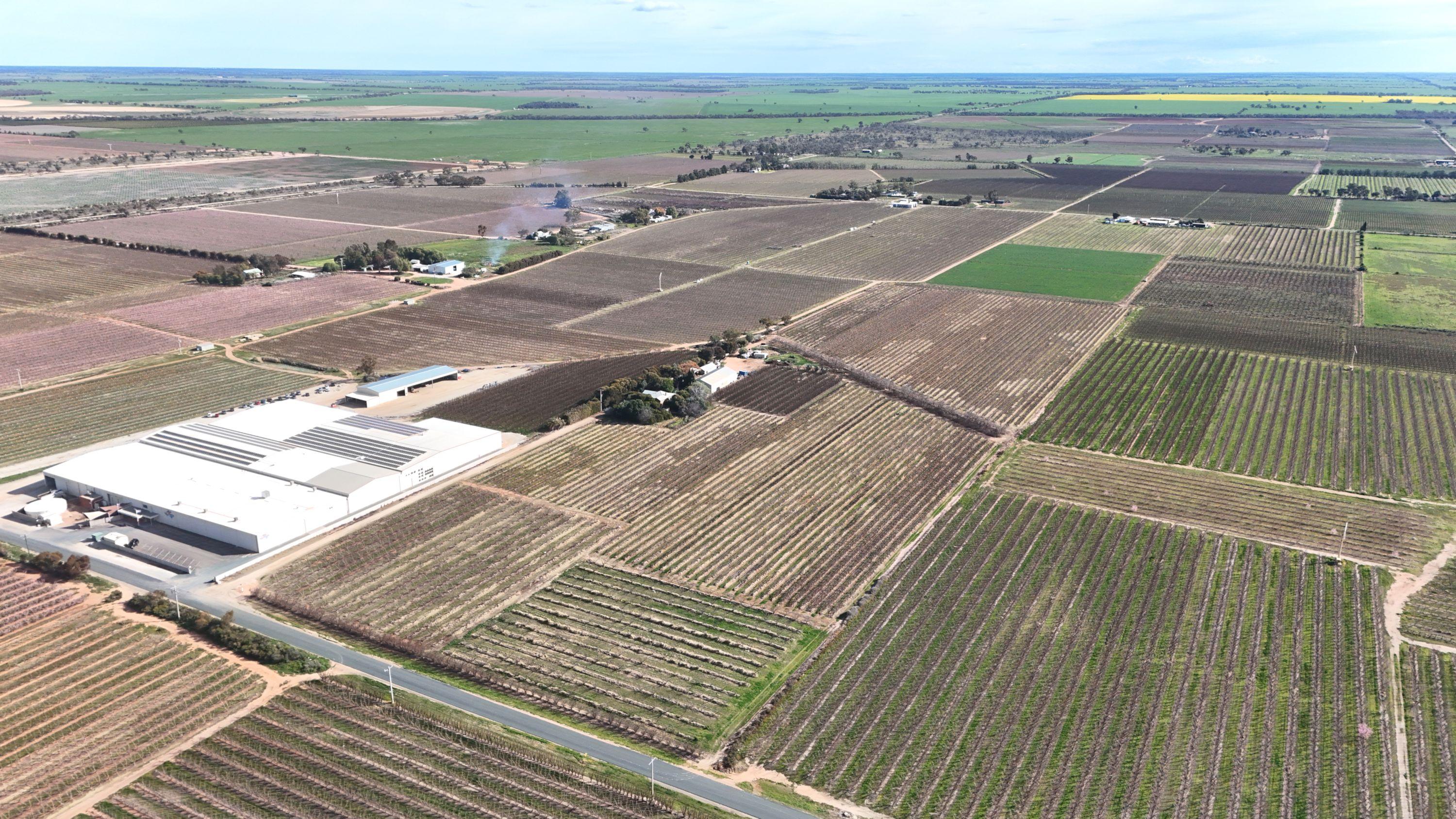 Mixed Farming for Sale: Woorinen North, VIC 3589, VIC, 3589