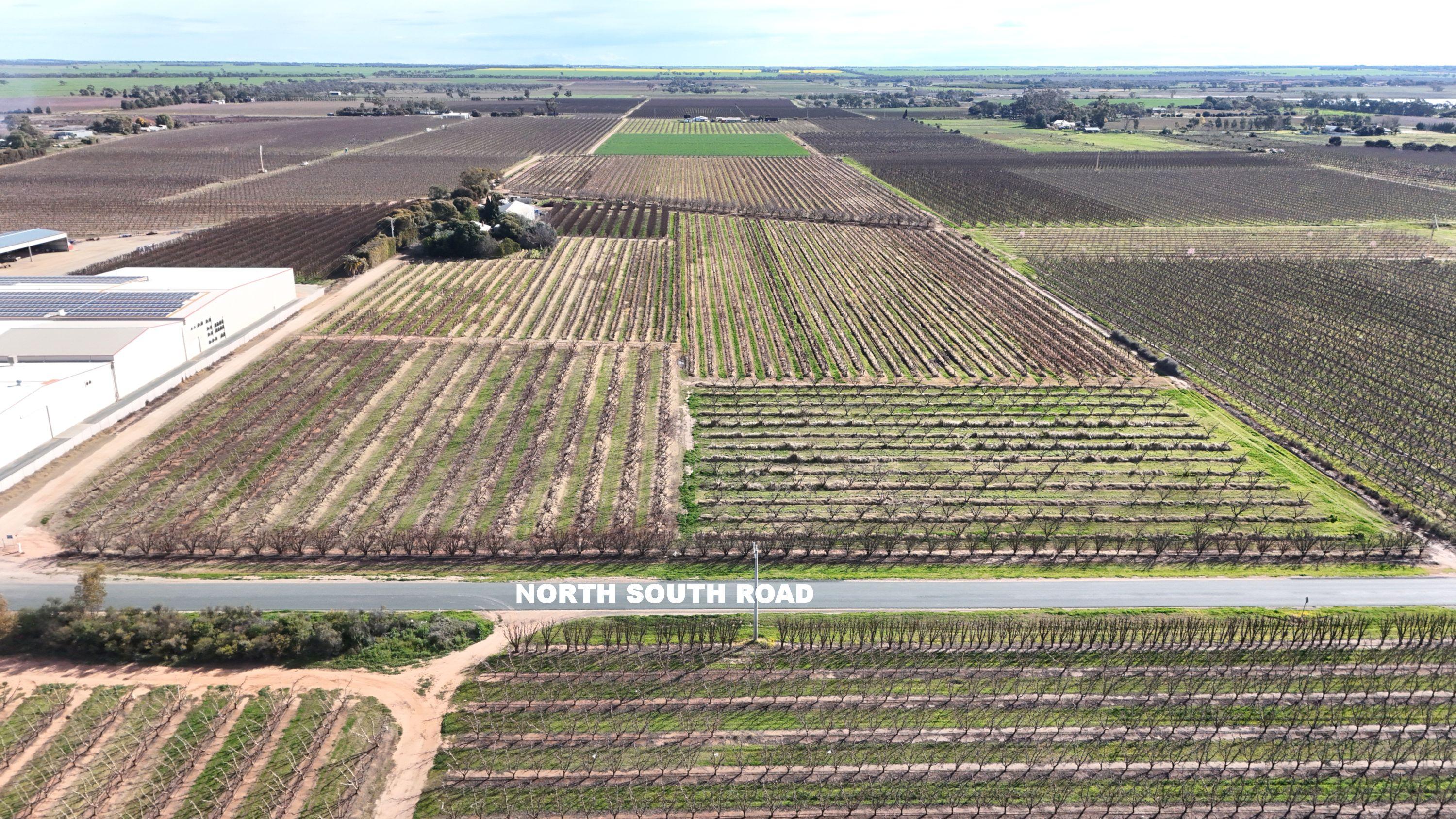 Mixed Farming for Sale: Woorinen North, VIC 3589, VIC, 3589