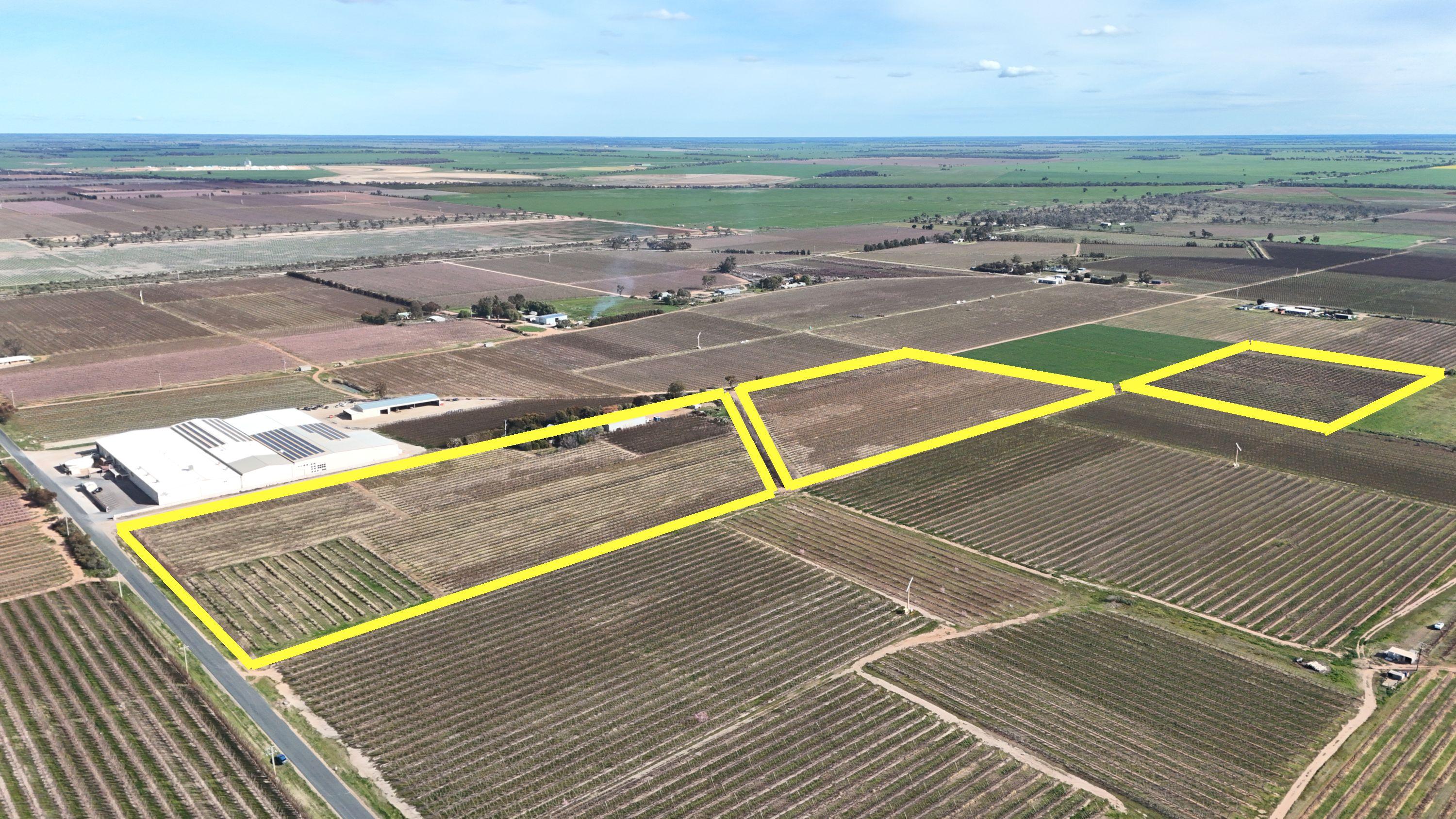 Mixed Farming for Sale: Woorinen North, VIC 3589, VIC, 3589