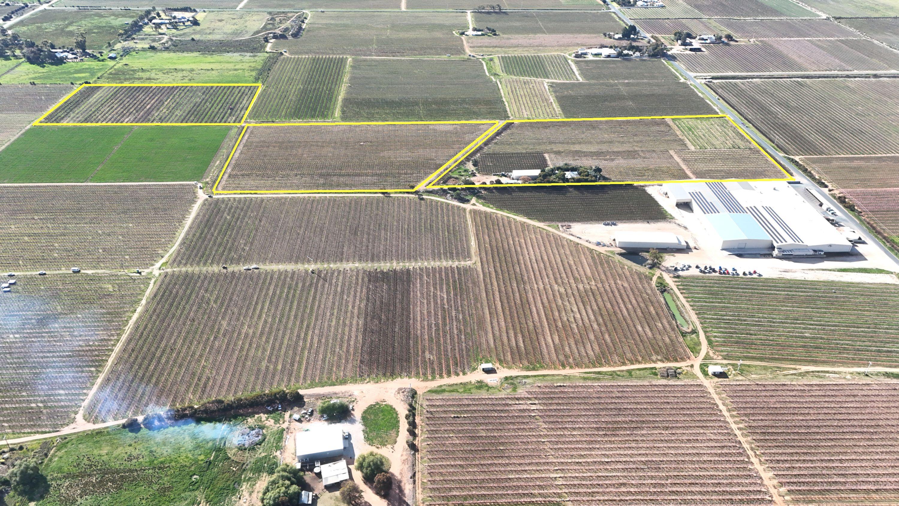 Mixed Farming for Sale: Woorinen North, VIC 3589, VIC, 3589