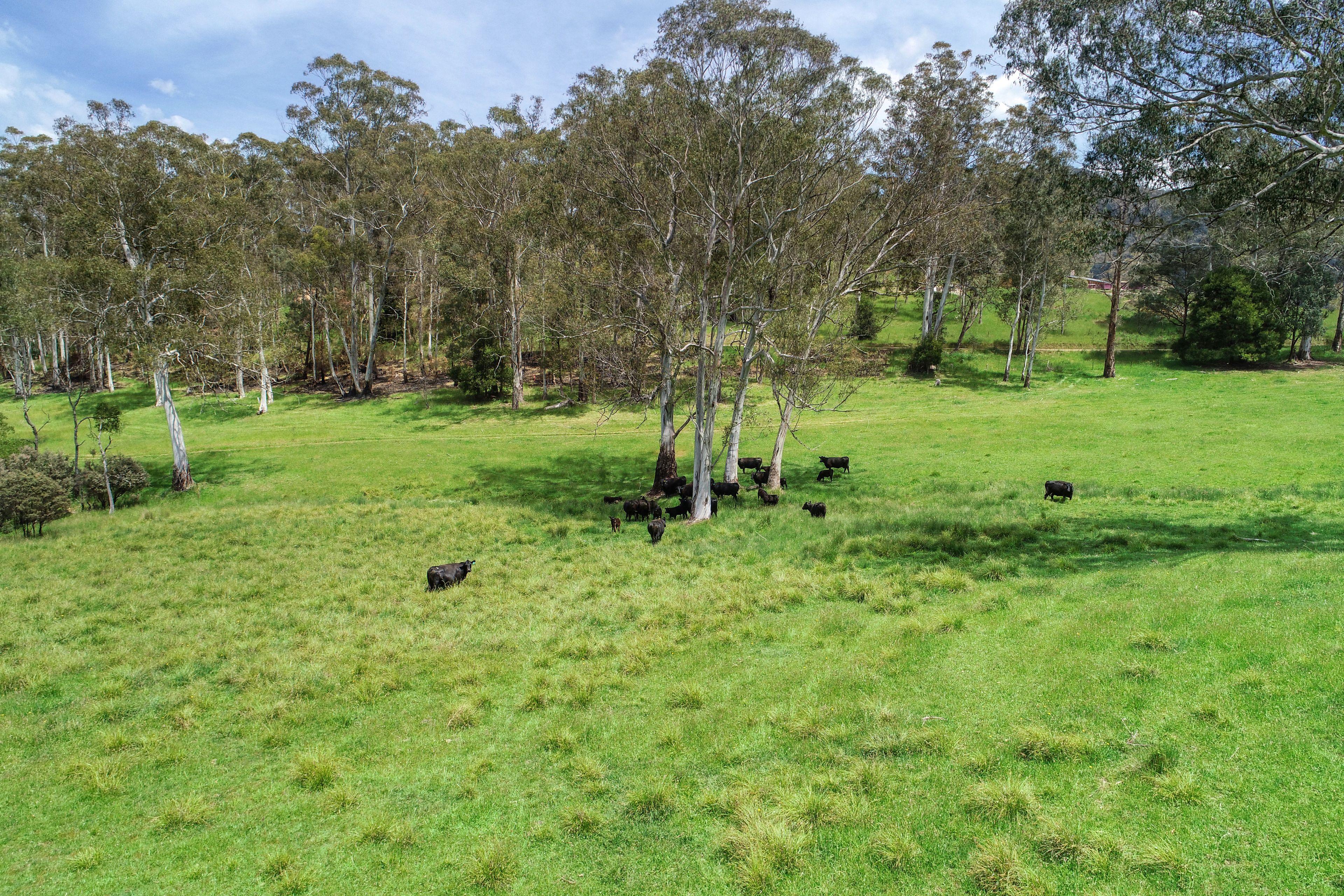 Land for Sale: Howqua Hills, VIC 3723, VIC, 3723