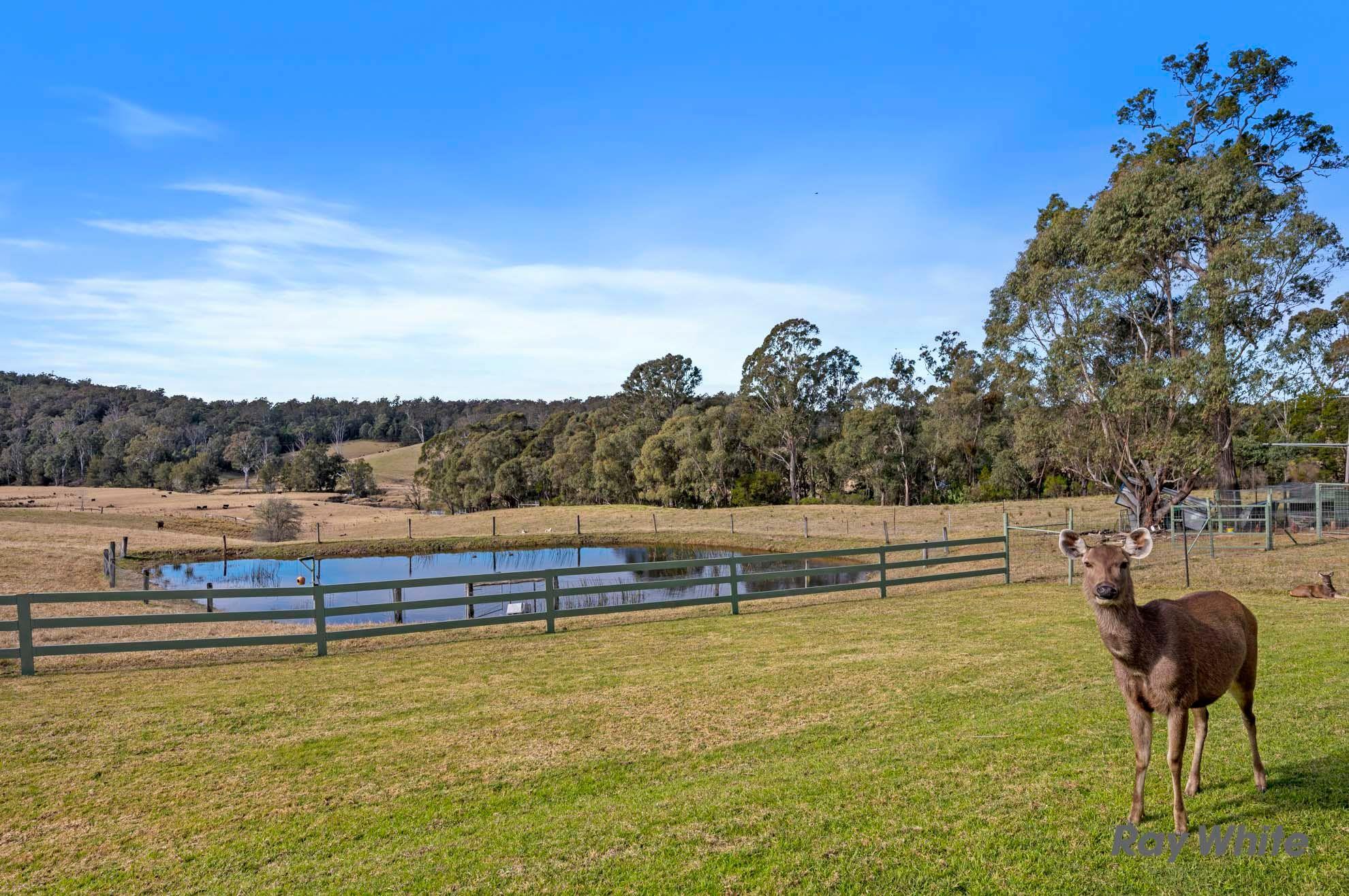 House for Sale: Moruya, NSW 2537, NSW, 2537