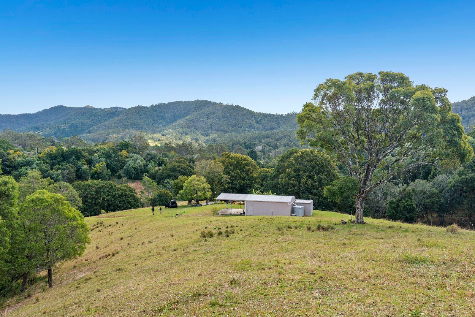 Land for Sale: Tallebudgera Valley, QLD 4228, QLD, 4228