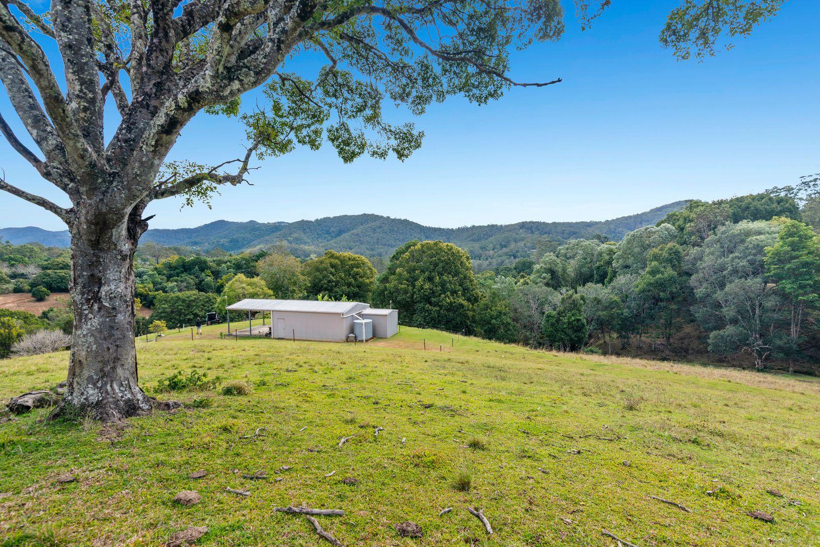 Land for Sale: Tallebudgera Valley, QLD 4228, QLD, 4228