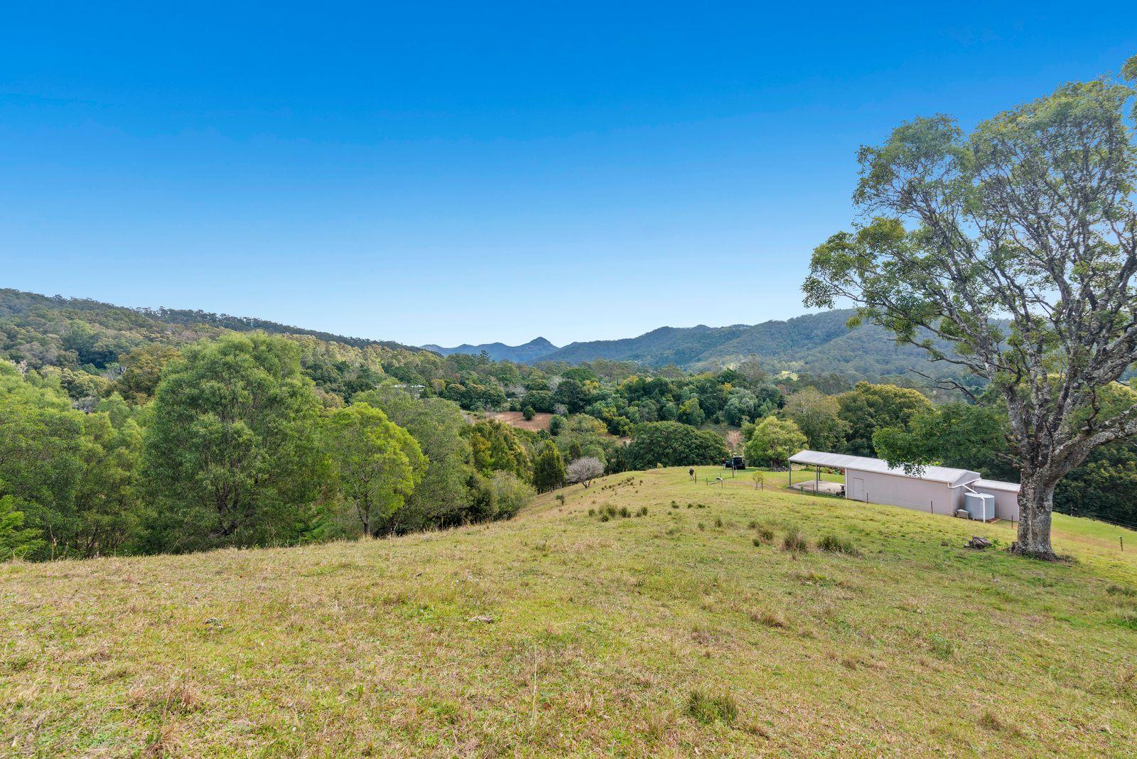Land for Sale: Tallebudgera Valley, QLD 4228, QLD, 4228