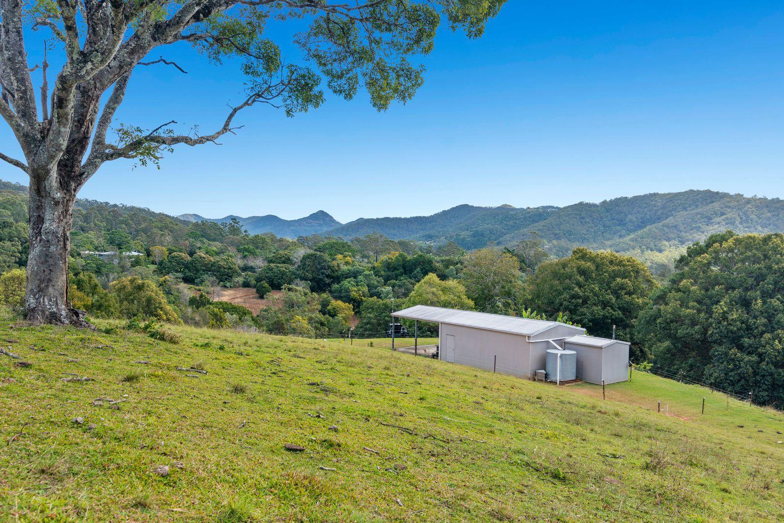Land for Sale: Tallebudgera Valley, QLD 4228, QLD, 4228