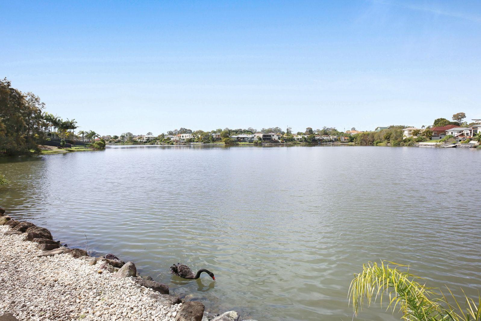 House for Sale: Robina, QLD 4226, QLD, 4226