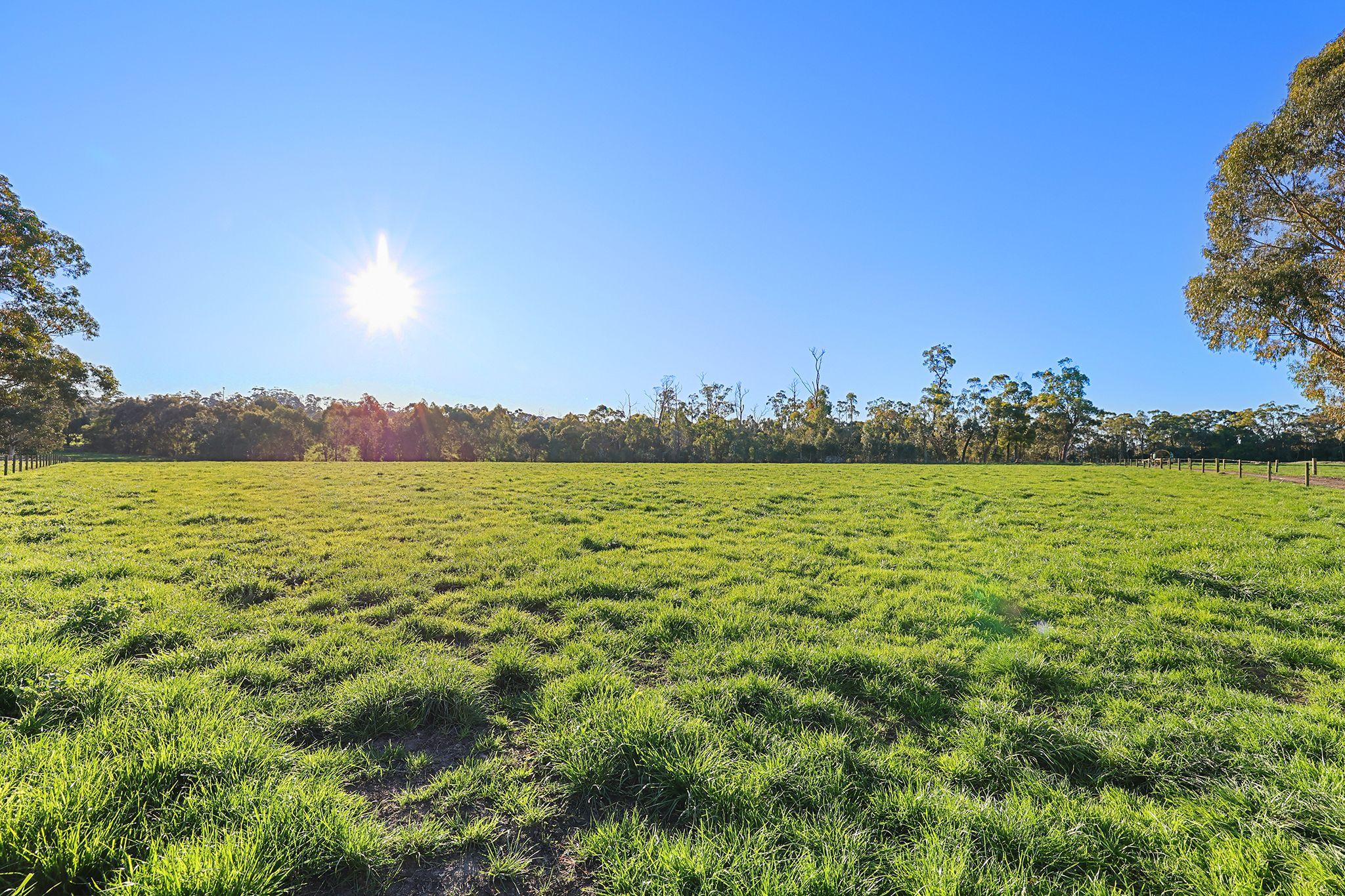 Lifestyle for Sale: Ripplebrook, VIC 3818, VIC, 3818