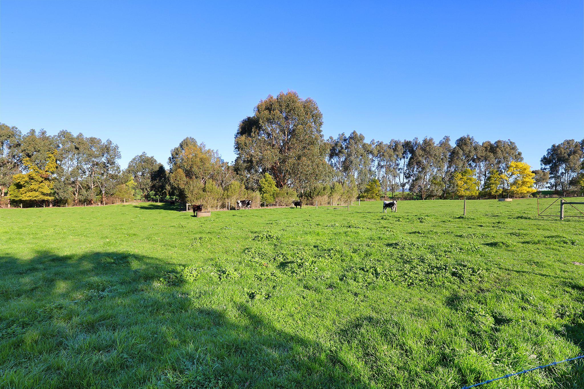 Lifestyle for Sale: Ripplebrook, VIC 3818, VIC, 3818