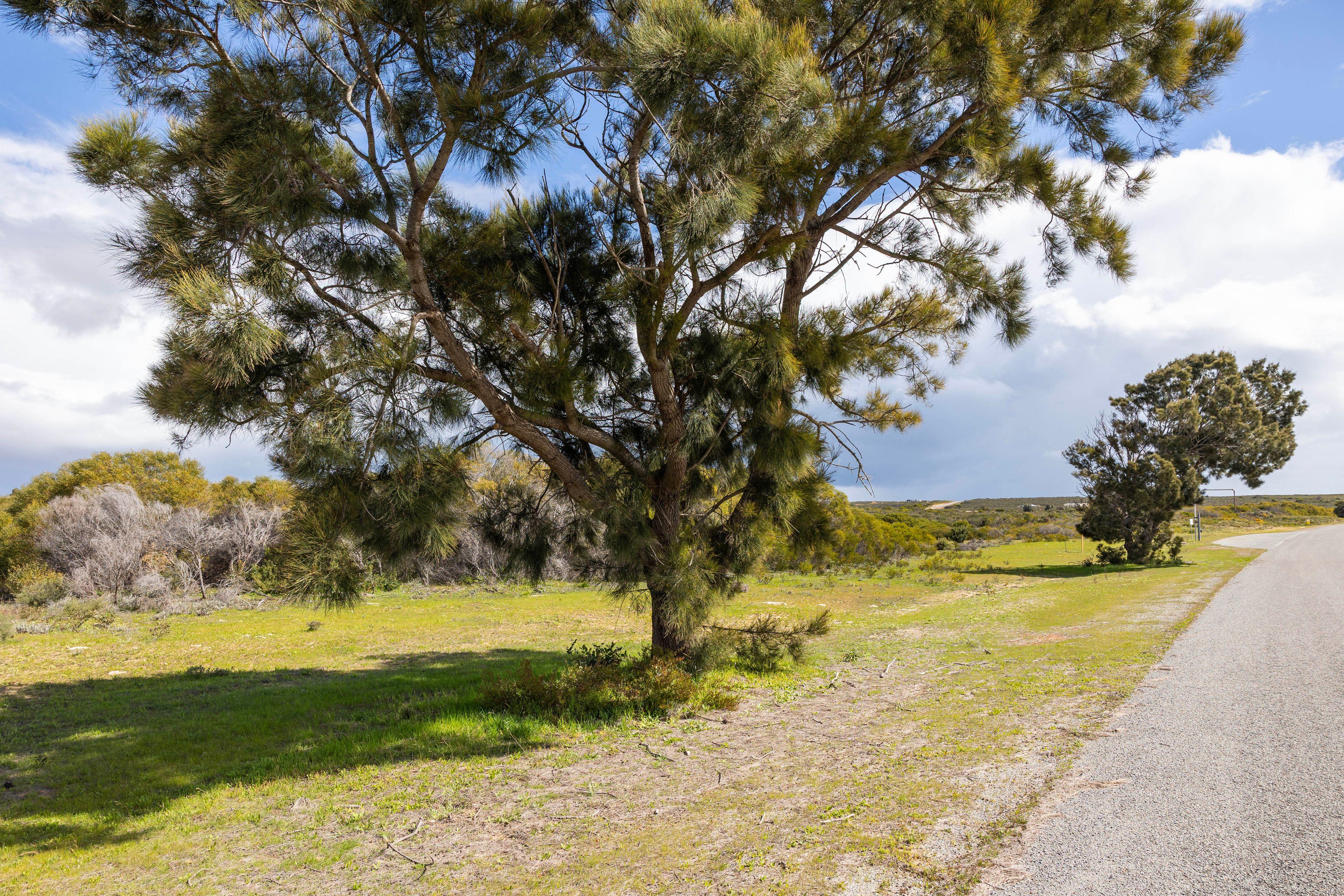 Land for Sale: Jurien Bay, WA 6516, WA, 6516