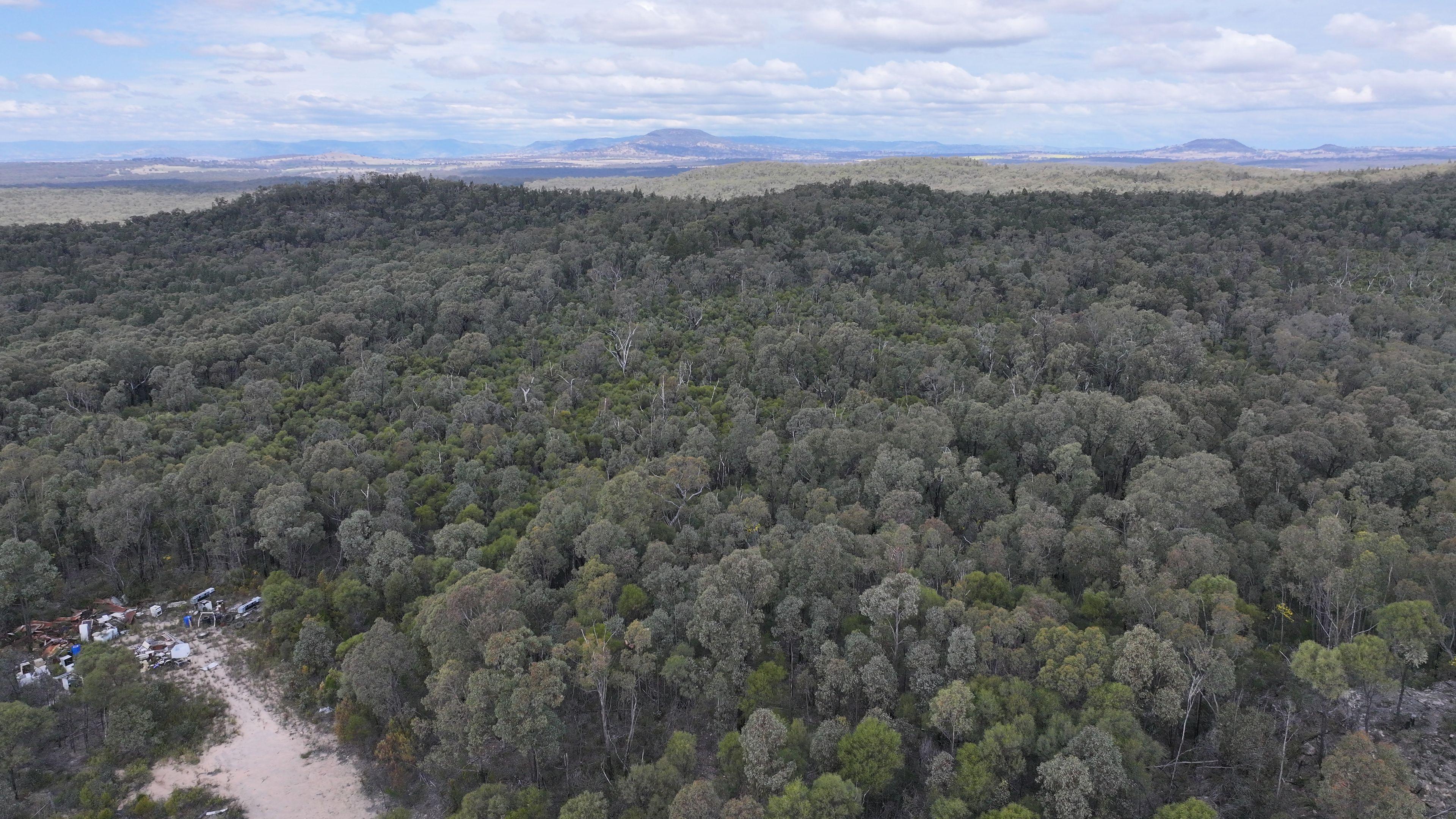 Lifestyle for Sale: Tambar Springs, NSW 2381, NSW, 2381