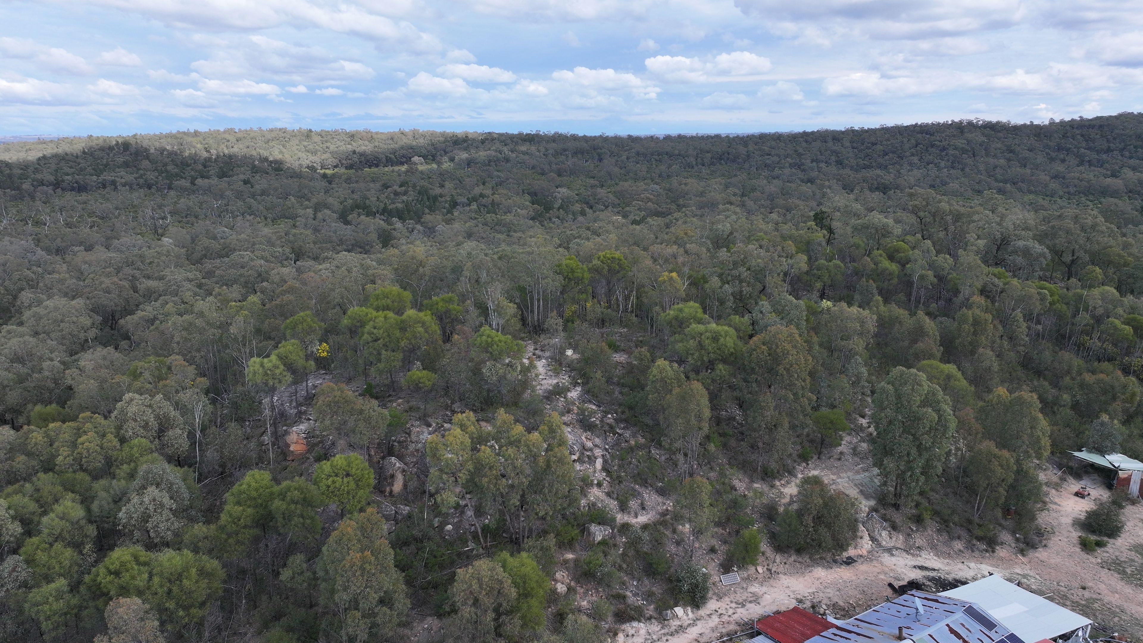 Lifestyle for Sale: Tambar Springs, NSW 2381, NSW, 2381