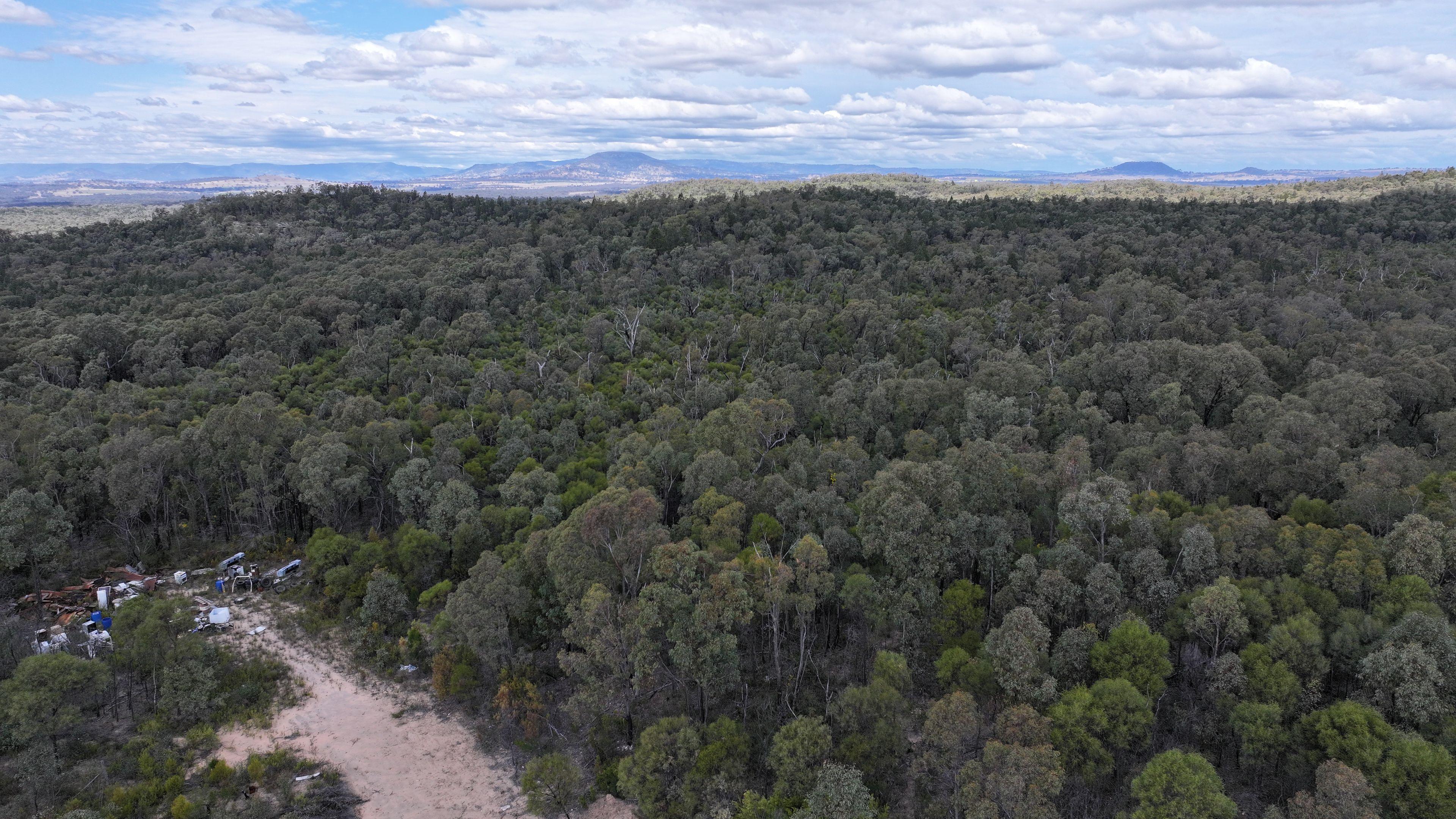 Lifestyle for Sale: Tambar Springs, NSW 2381, NSW, 2381