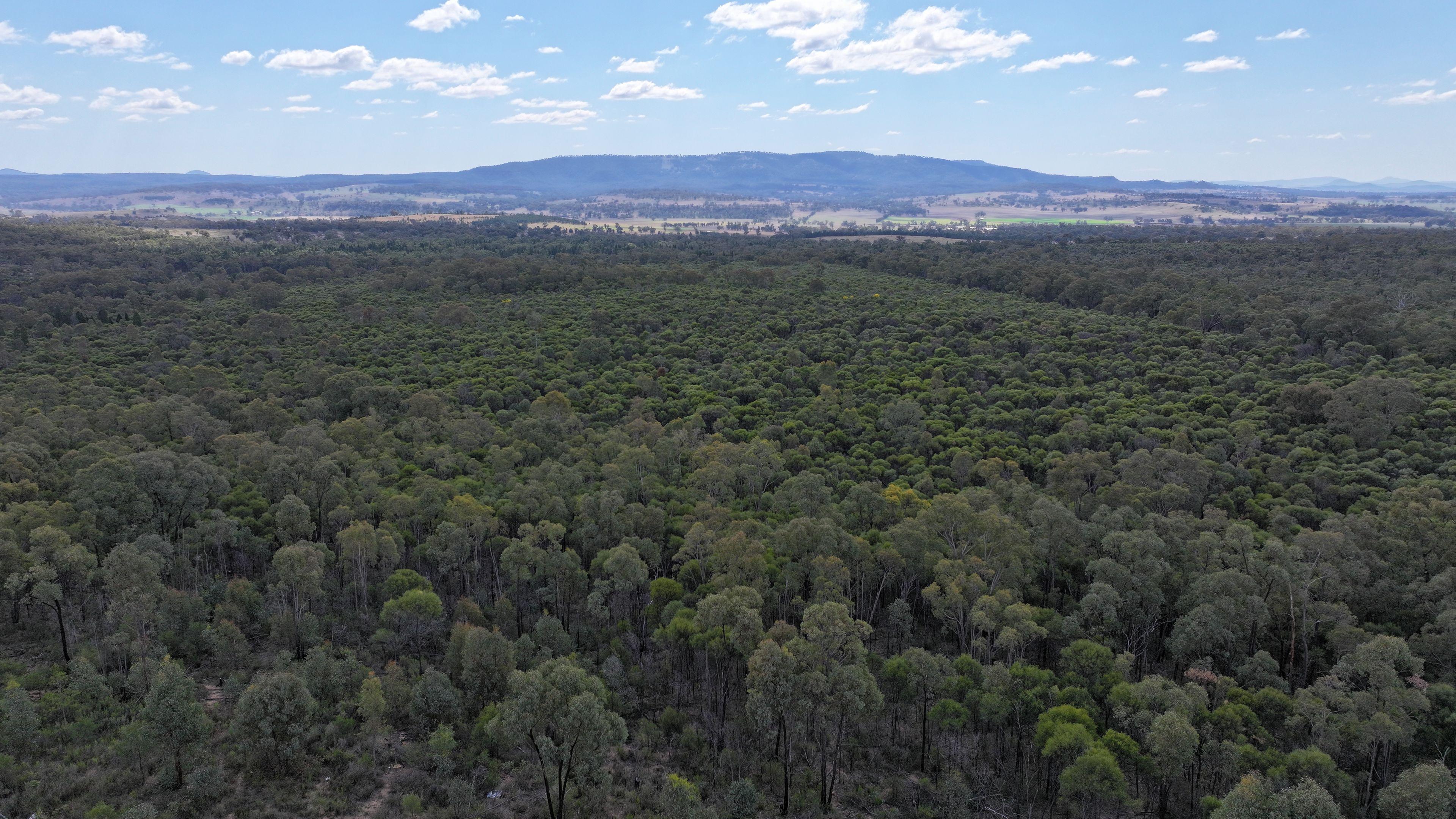 Lifestyle for Sale: Tambar Springs, NSW 2381, NSW, 2381