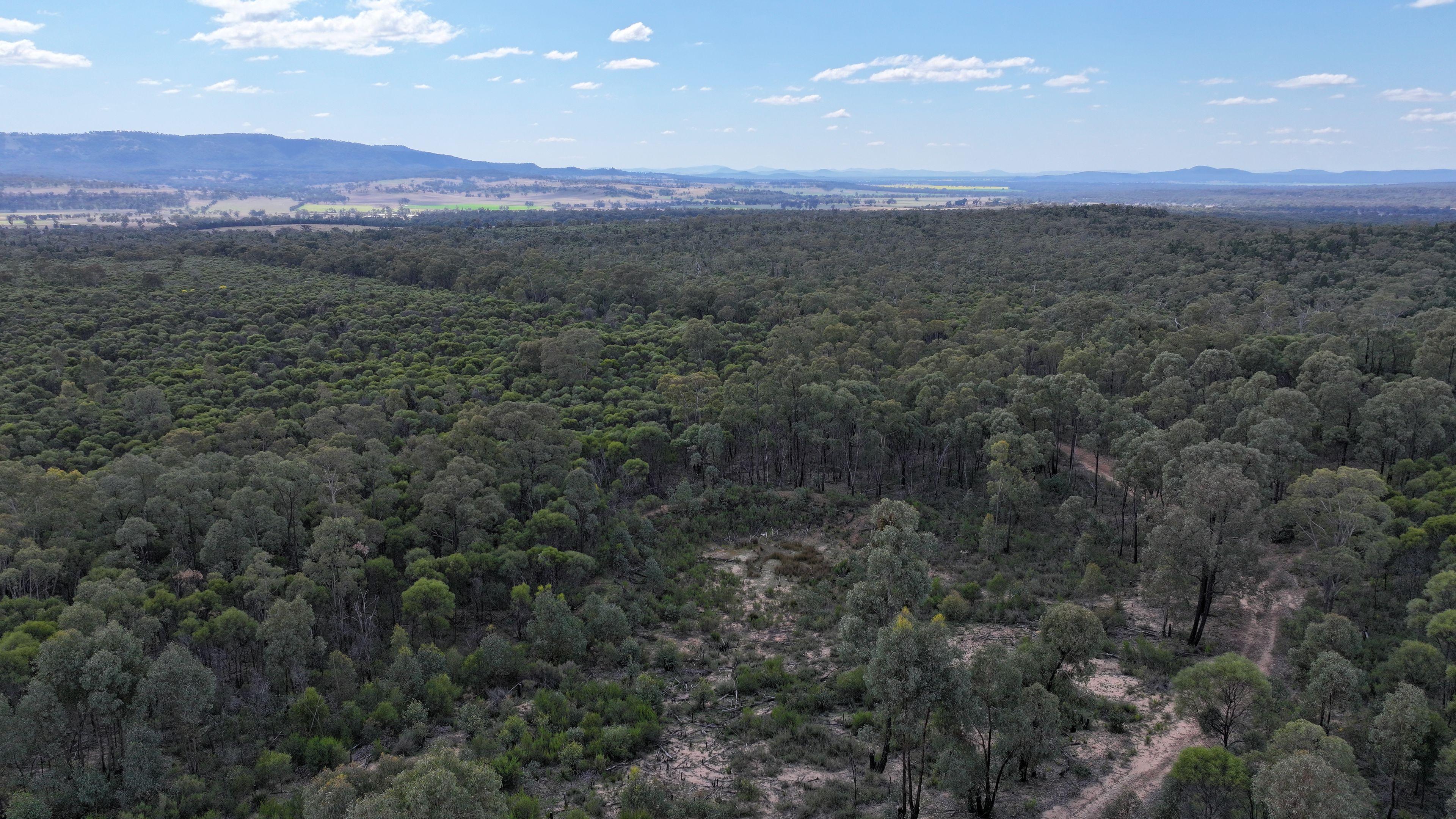 Lifestyle for Sale: Tambar Springs, NSW 2381, NSW, 2381