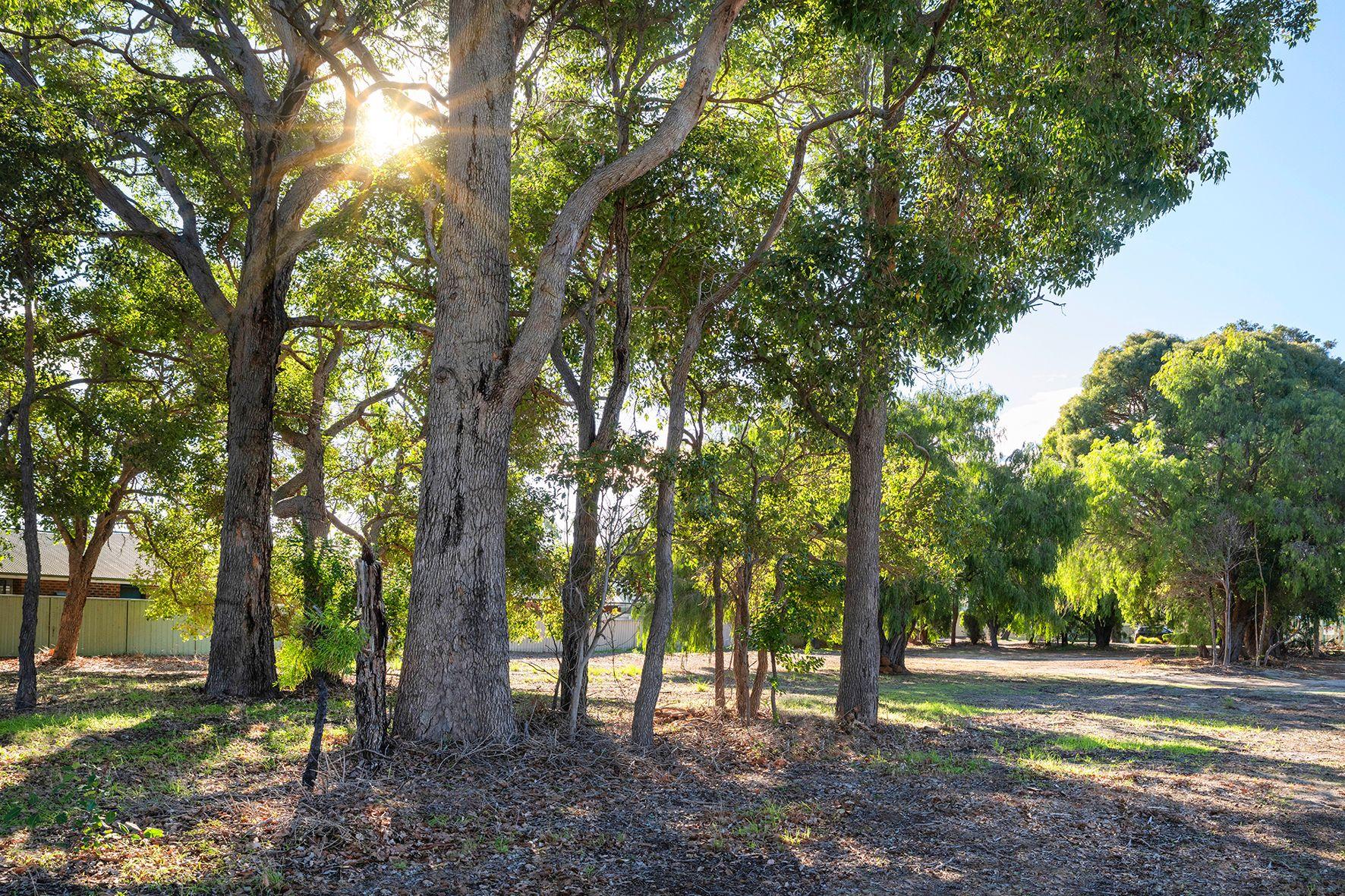 Land for Sale: Margaret River, WA 6285, WA, 6285