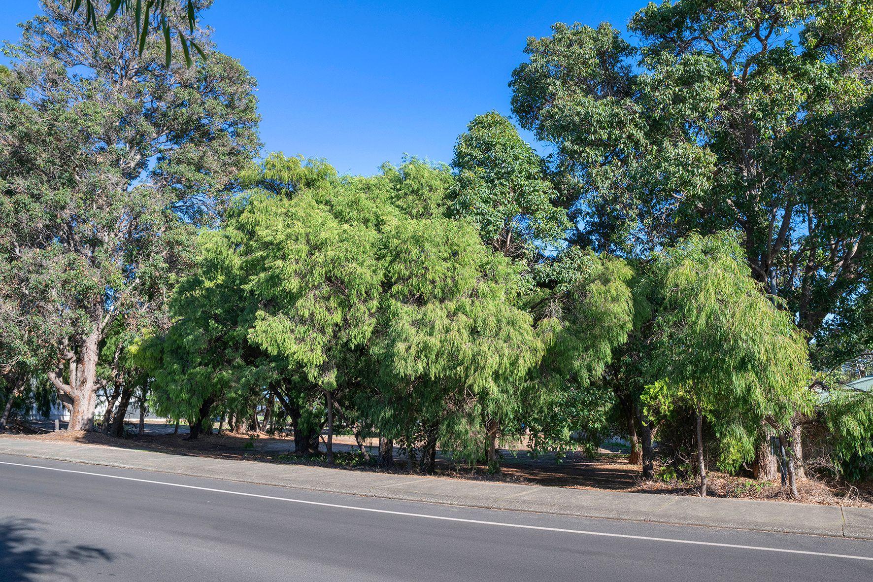 Land for Sale: Margaret River, WA 6285, WA, 6285