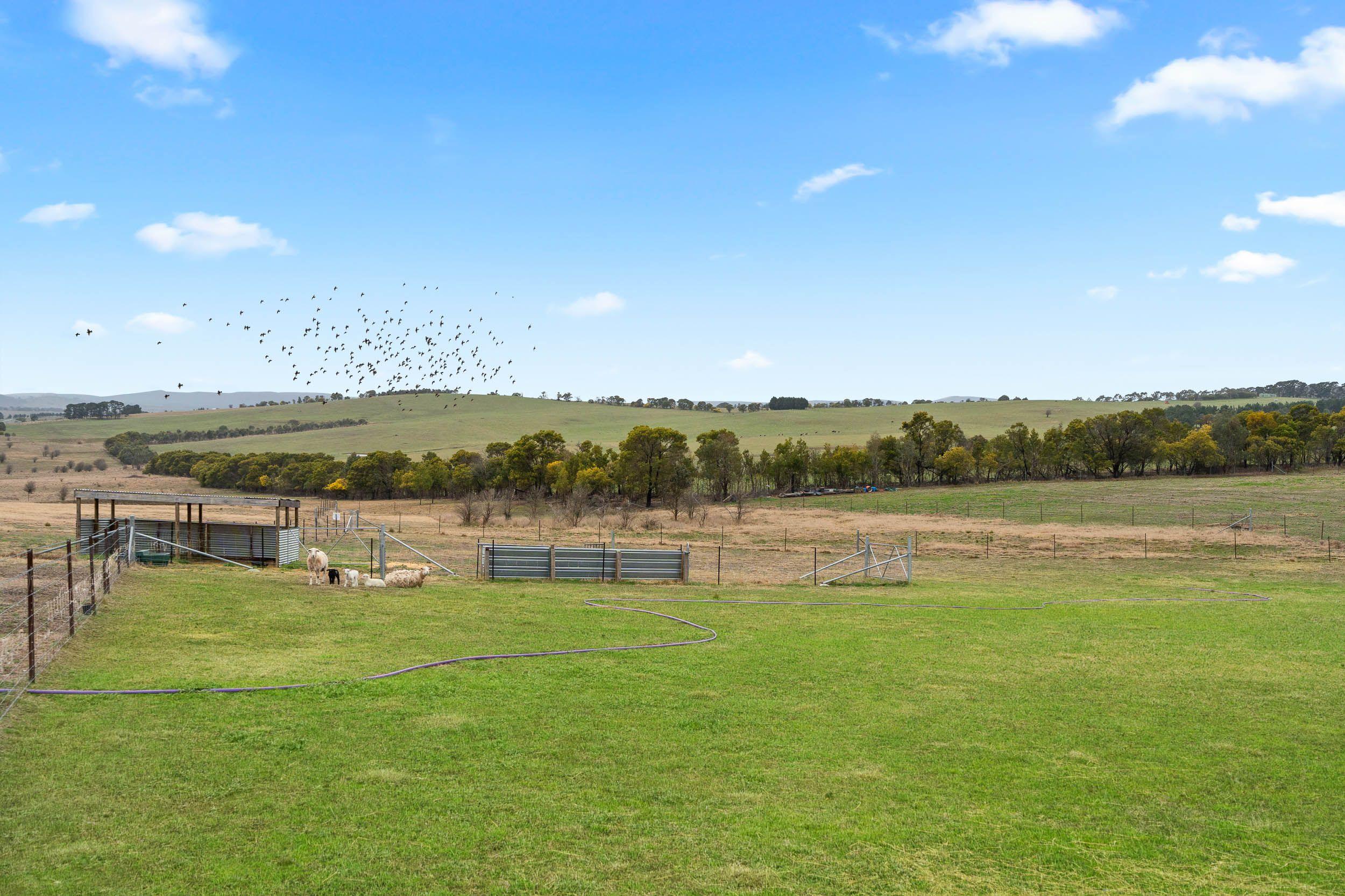 House for Sale: Run-O-Waters, NSW 2580, NSW, 2580