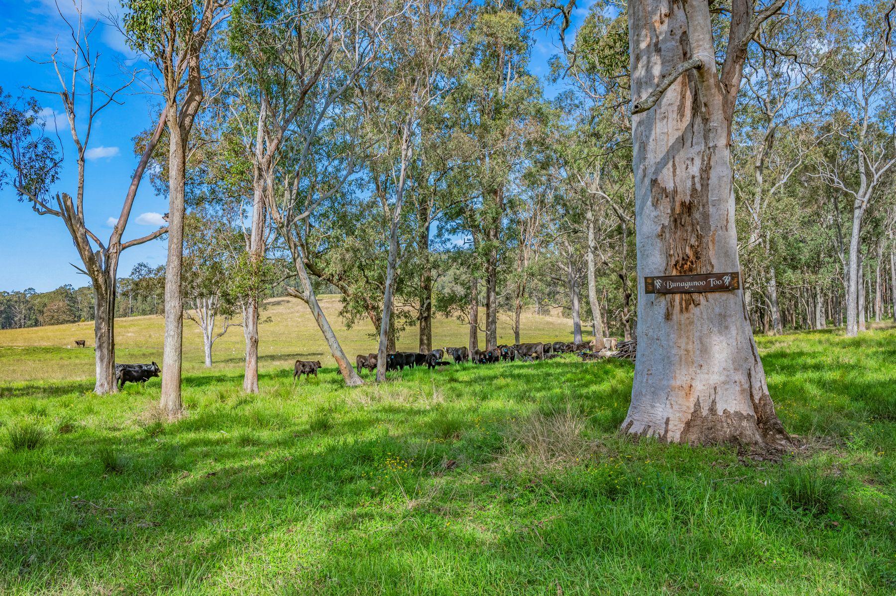 Lifestyle for Sale: Nabiac, NSW 2312, NSW, 2312