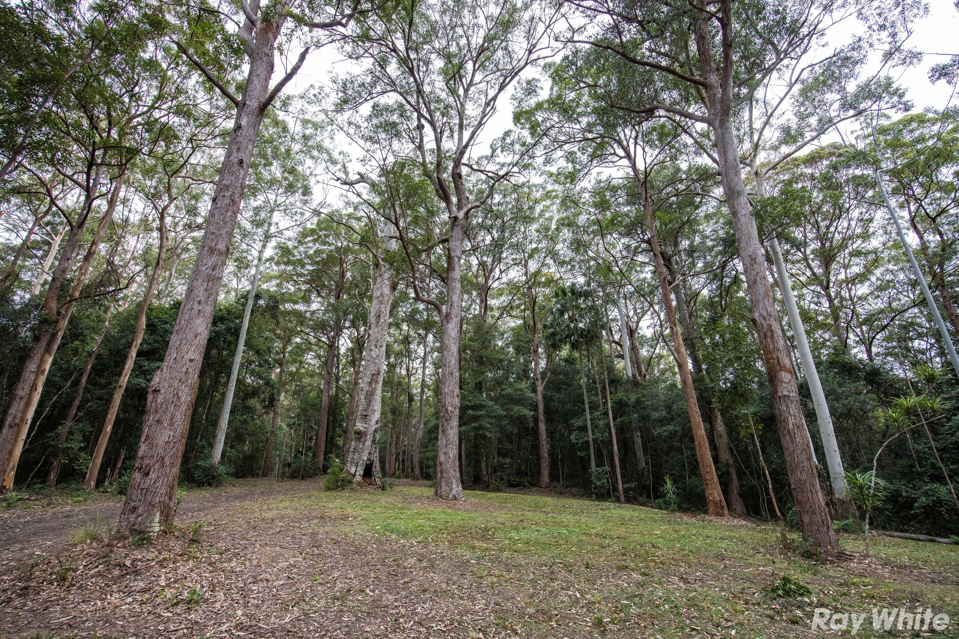 Acreage/Semi-Rural for Sale: Tarbuck Bay, NSW 2428, NSW, 2428