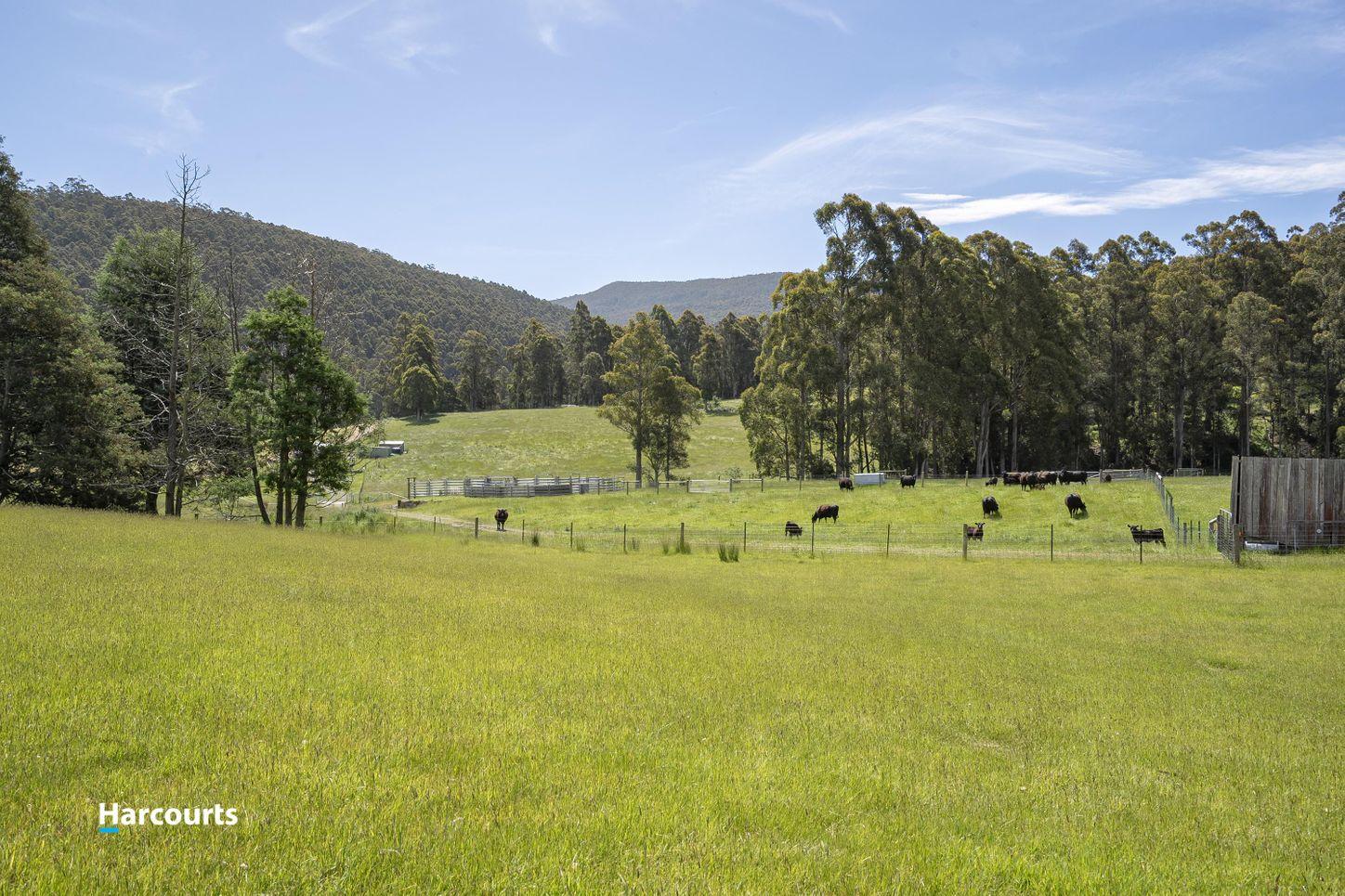 Land for Sale: Nicholls Rivulet, TAS 7112, TAS, 7112