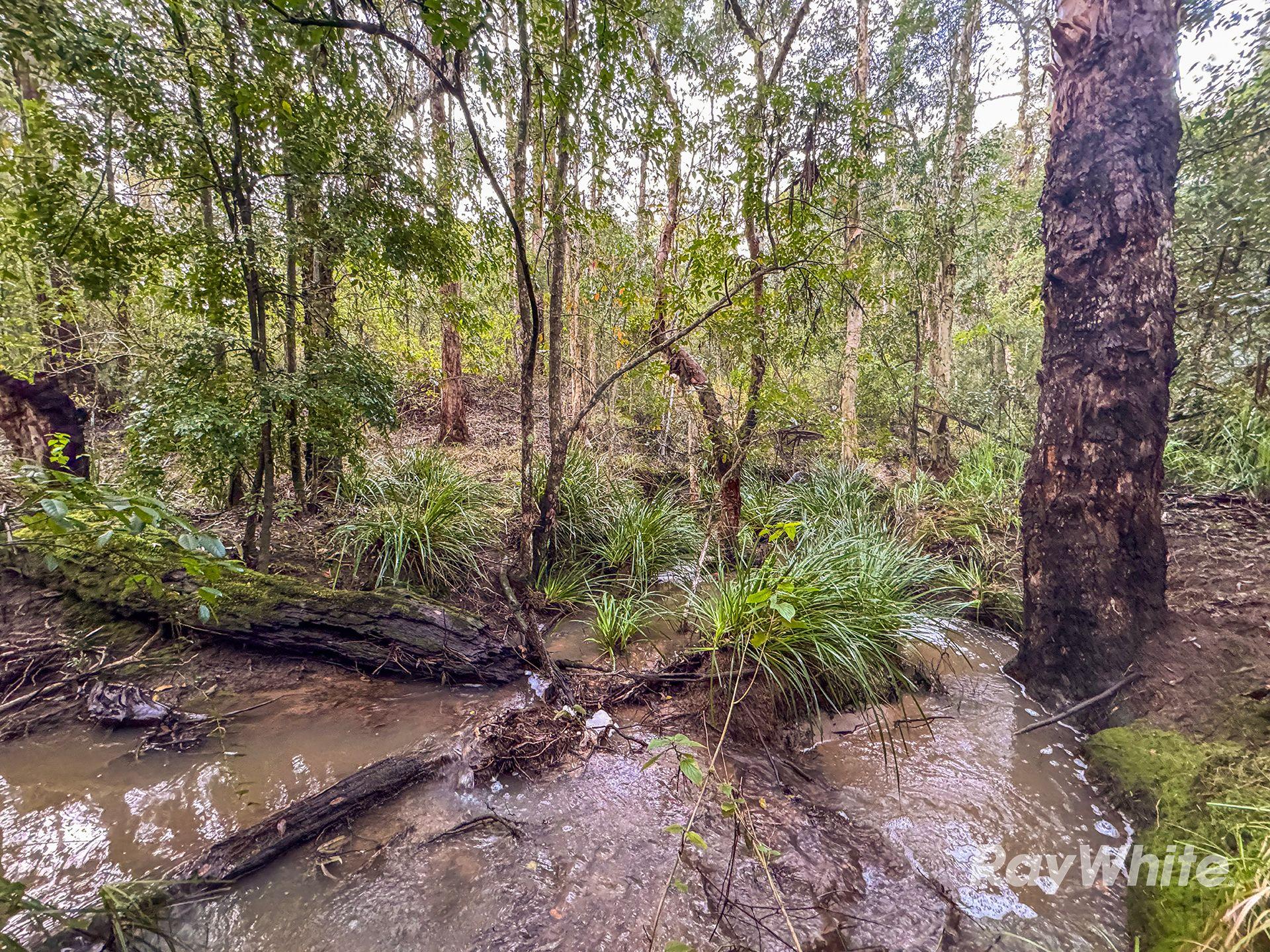 Other for Sale: West Wallsend, NSW 2286, NSW, 2286