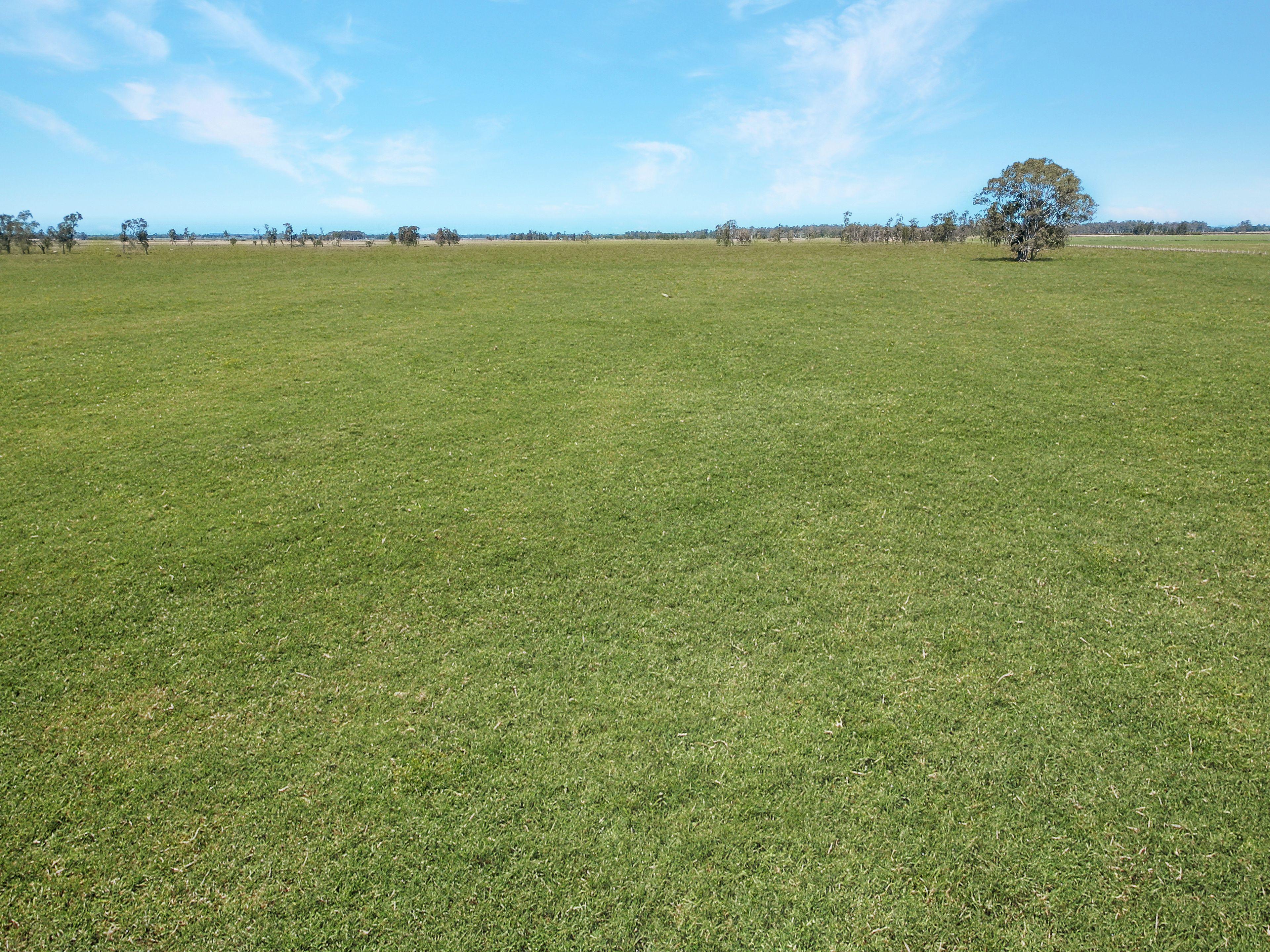 Acreage/Semi-Rural for Sale: Spring Grove, NSW 2470, NSW, 2470