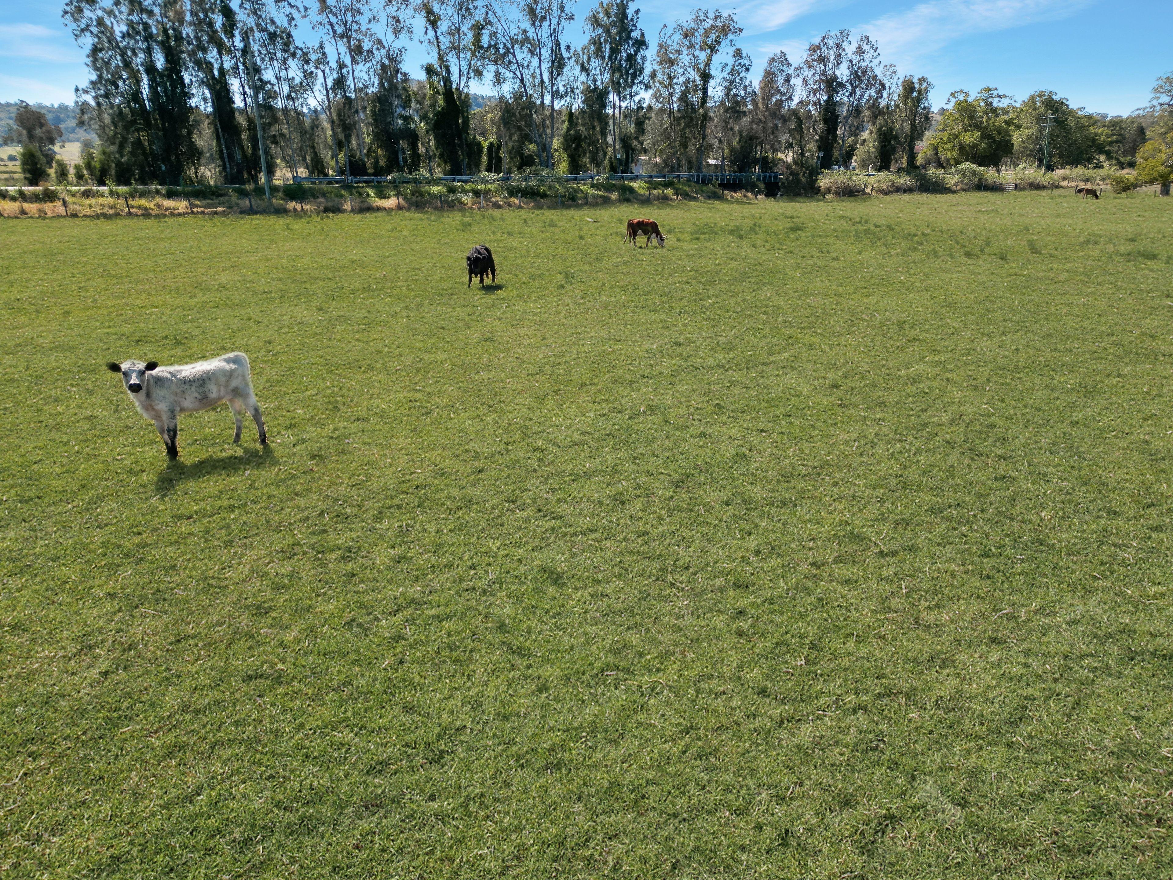 Acreage/Semi-Rural for Sale: Spring Grove, NSW 2470, NSW, 2470